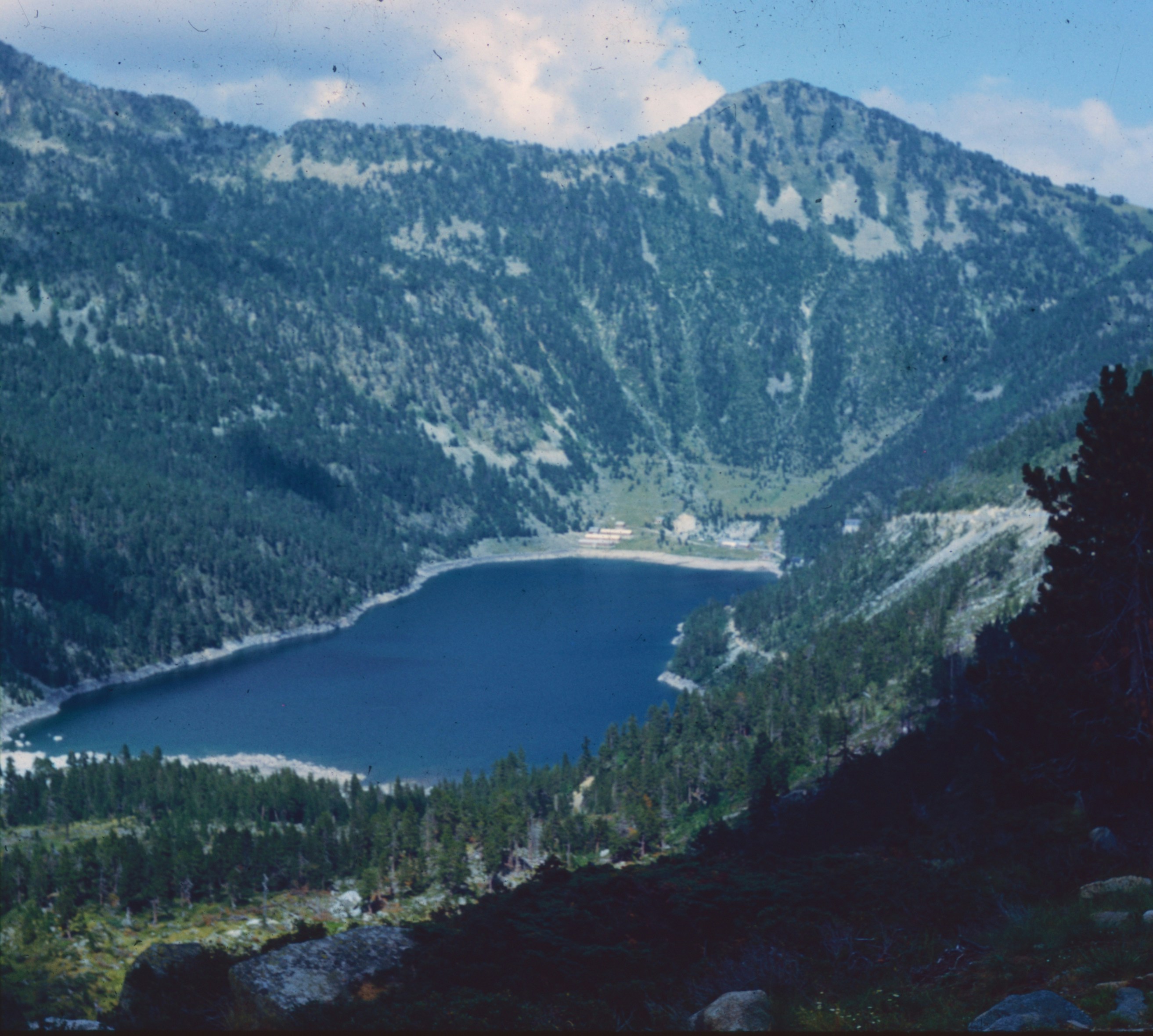 Blue mountain lake in forested valley - Free Photo on Unsplash