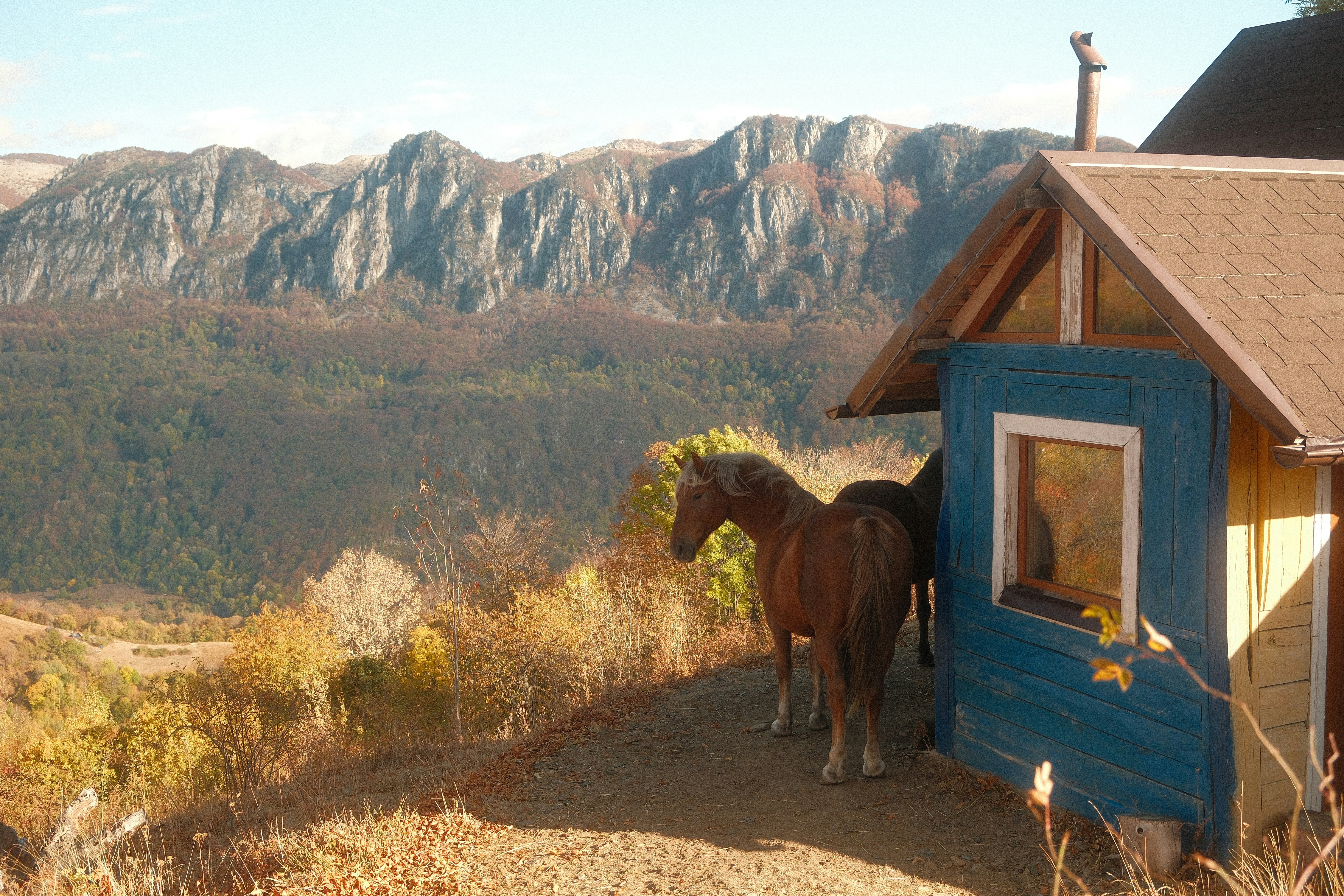 Horses beside cabin in mountain valley - Free Photo on Unsplash