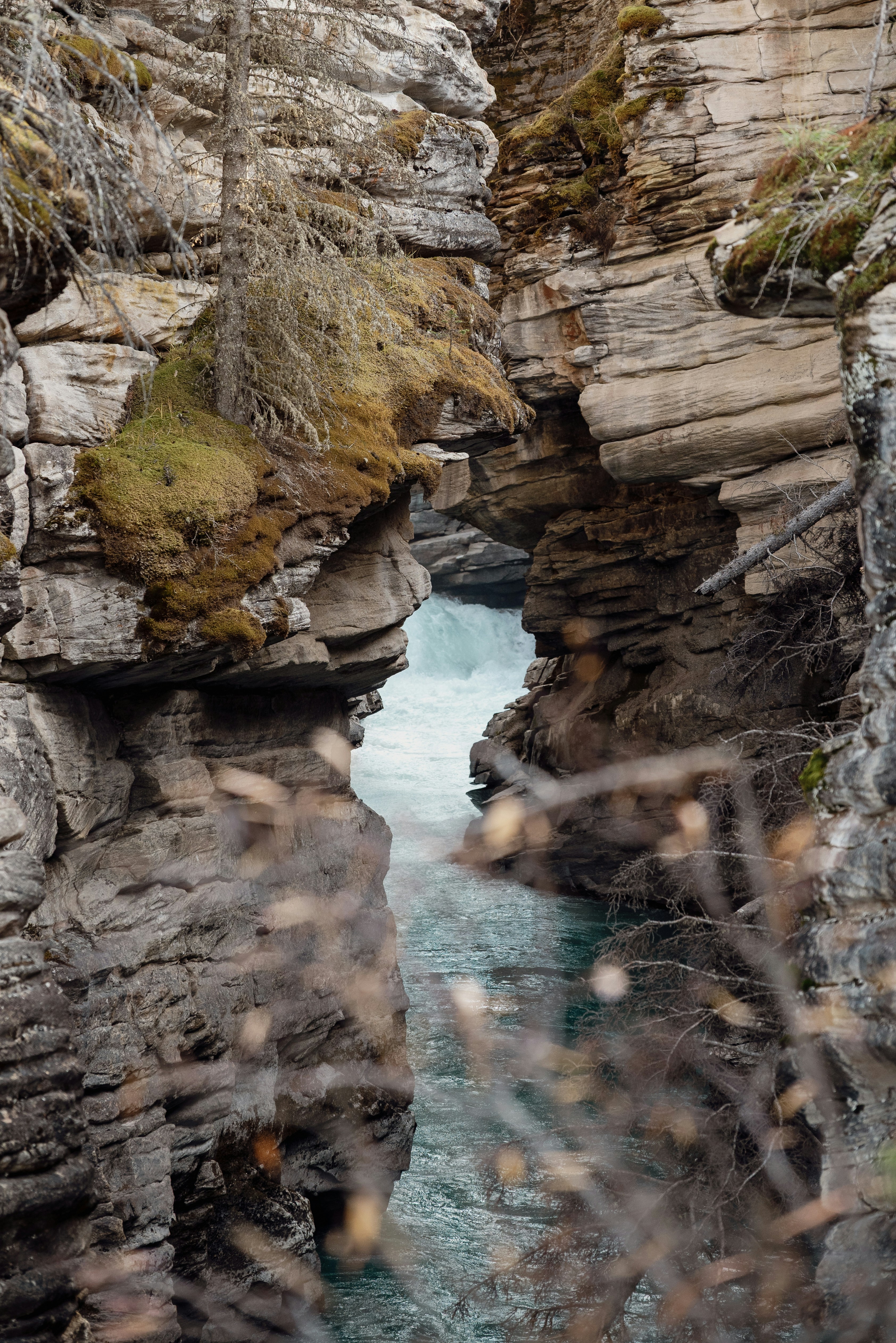Turquoise river in Jasper limestone canyon - Free Photo on Unsplash