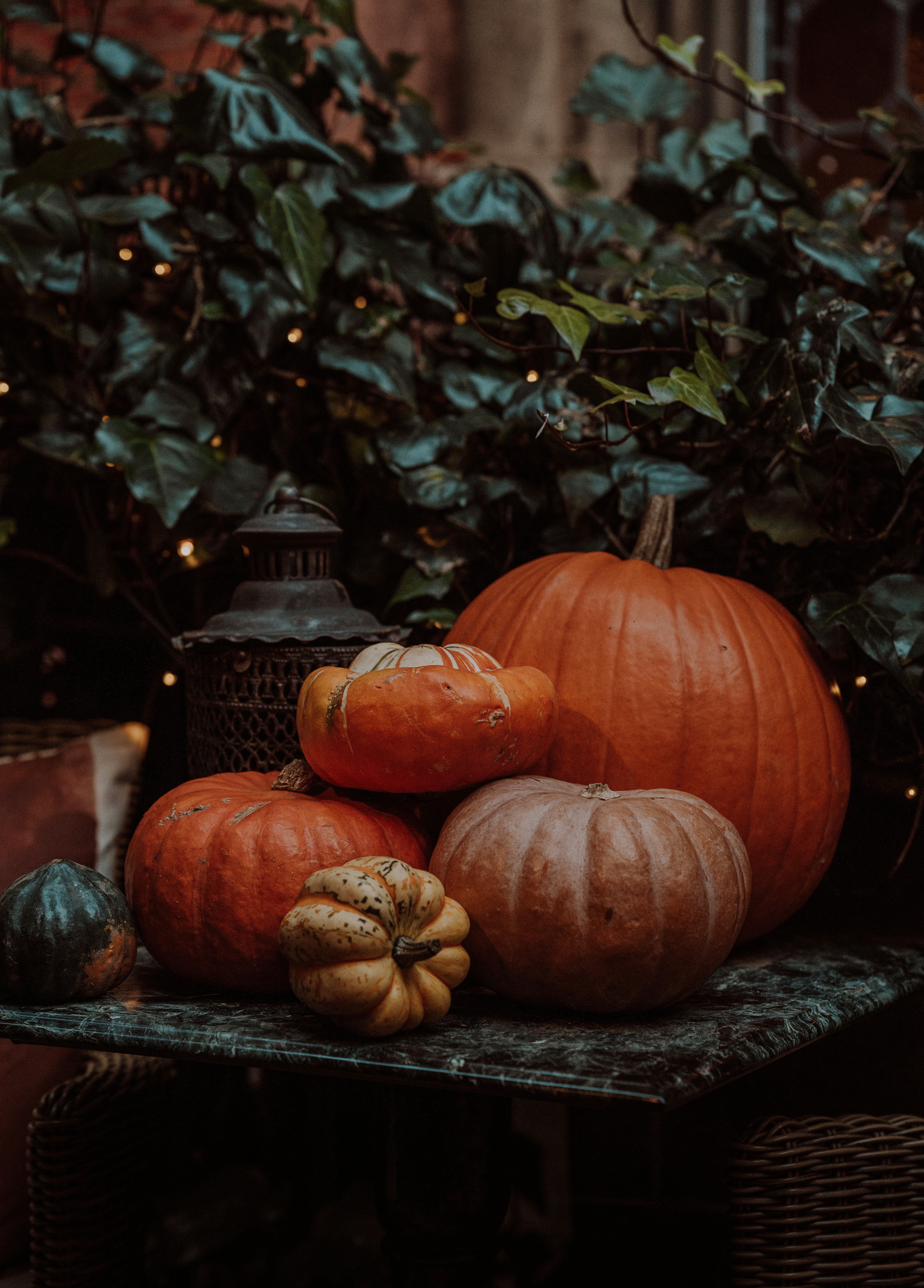 A collection of assorted pumpkins and gourds on a marble table with ivy and fairy lights