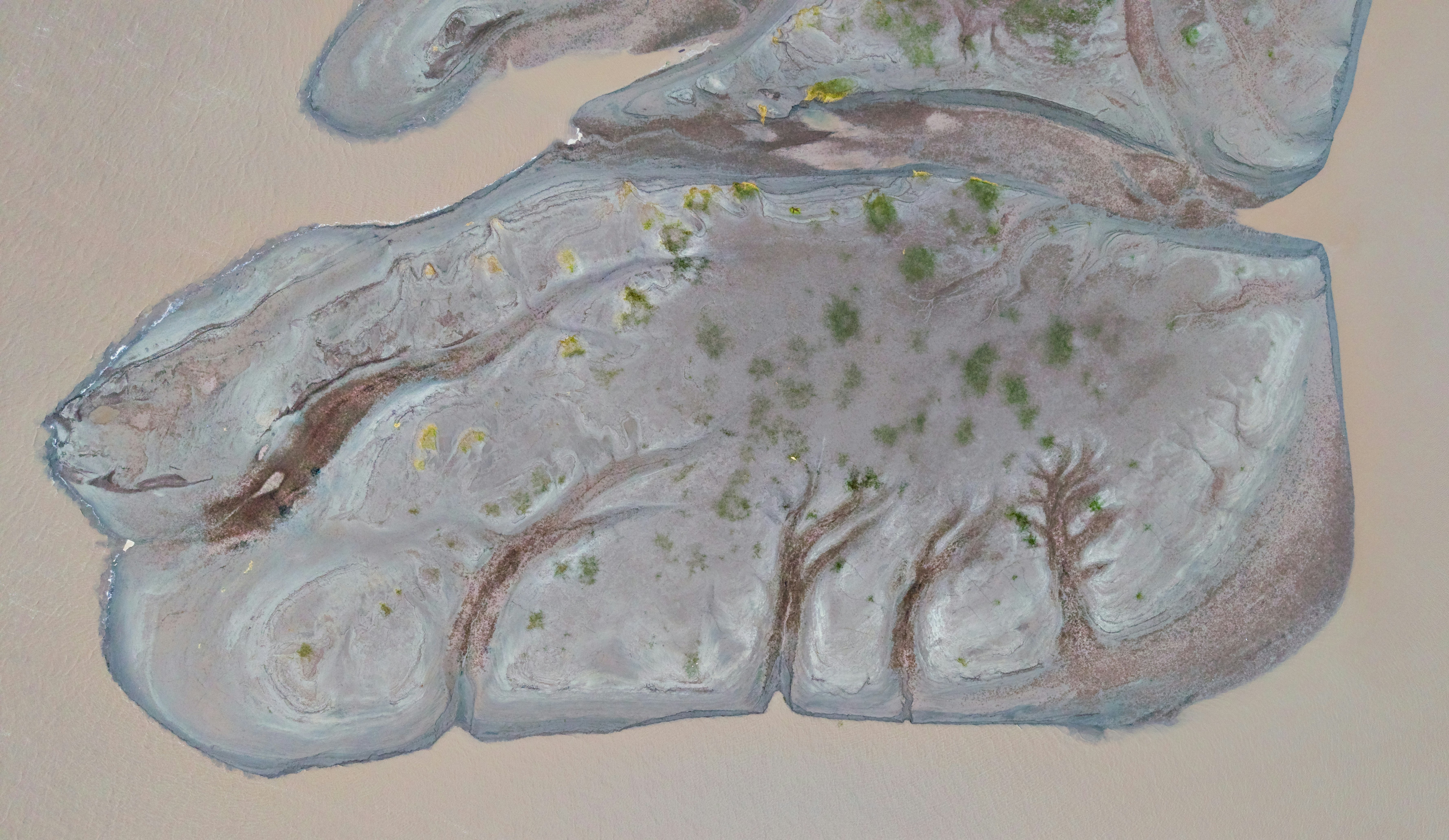 An aerial view of a grey mud island with branching channels in brown water
