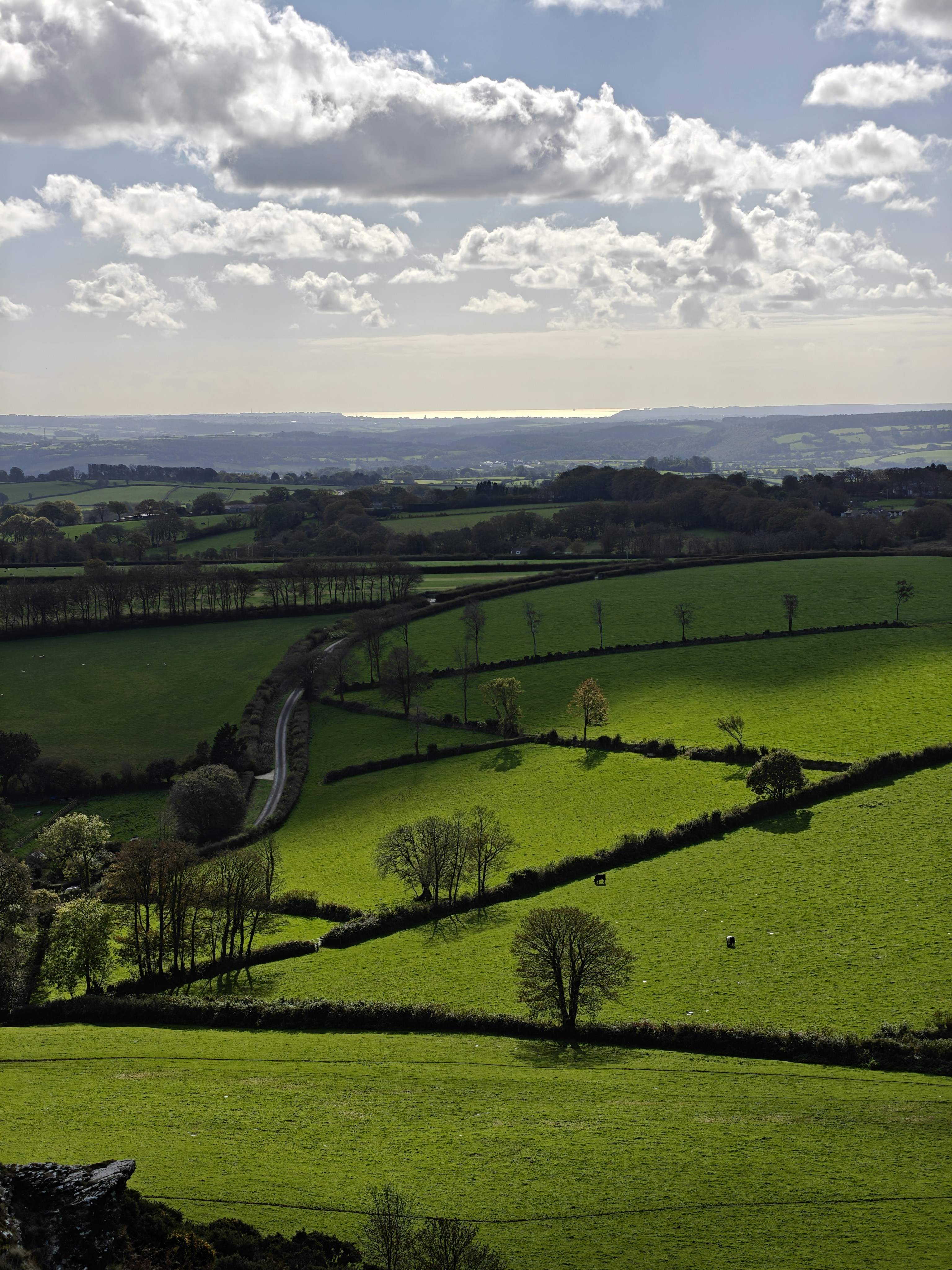 A view down to the south coast of Devon from Brentor on the edge of Dartmoor National Park. Plymouth Sound on the horizon gleams in the sun, while the sun lights up fields with a few livestock dotted around trees and hedgerows dividing the fields. A road curves up past the fields.
