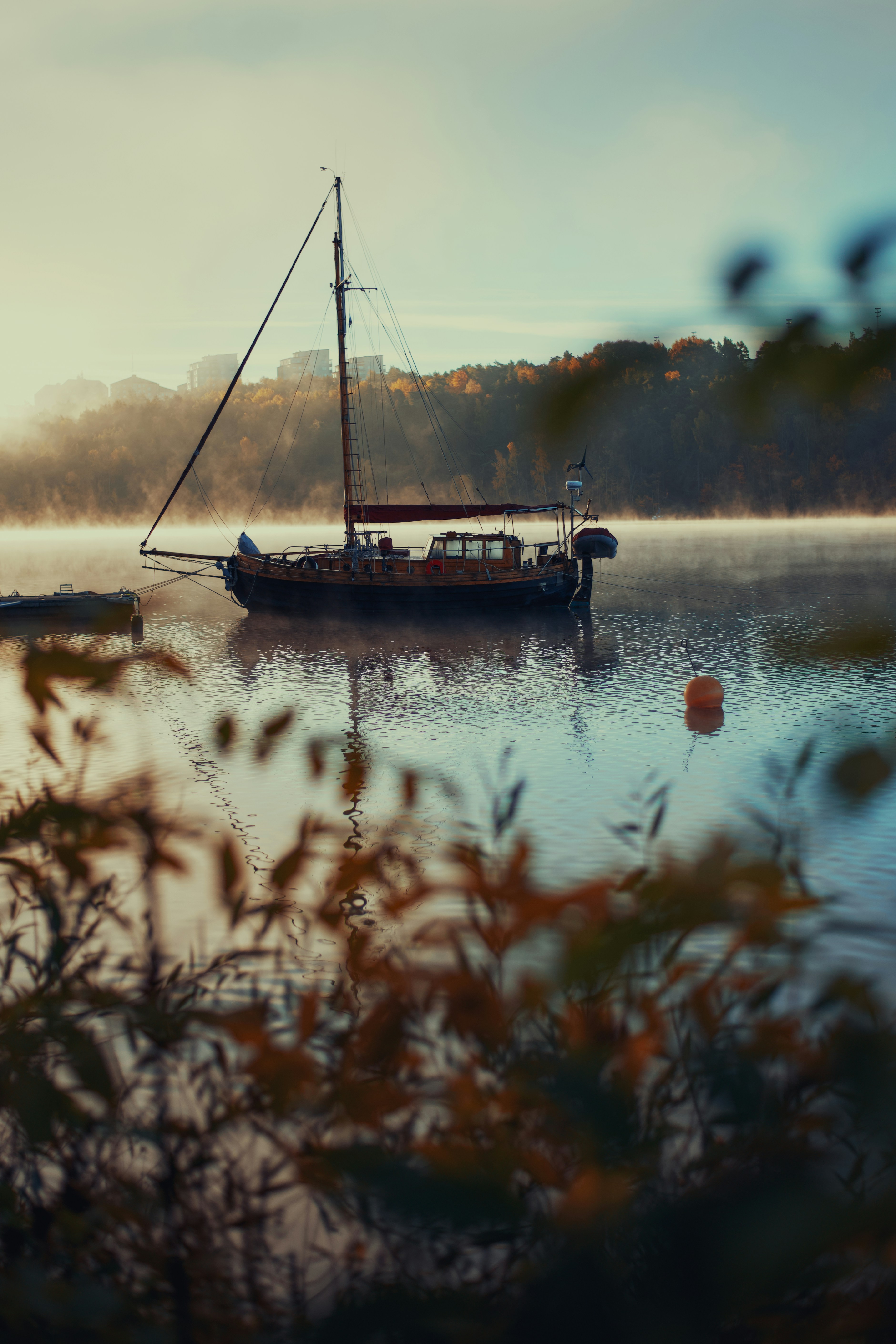 Sailboat on misty lake at autumn - Free Photo on Unsplash