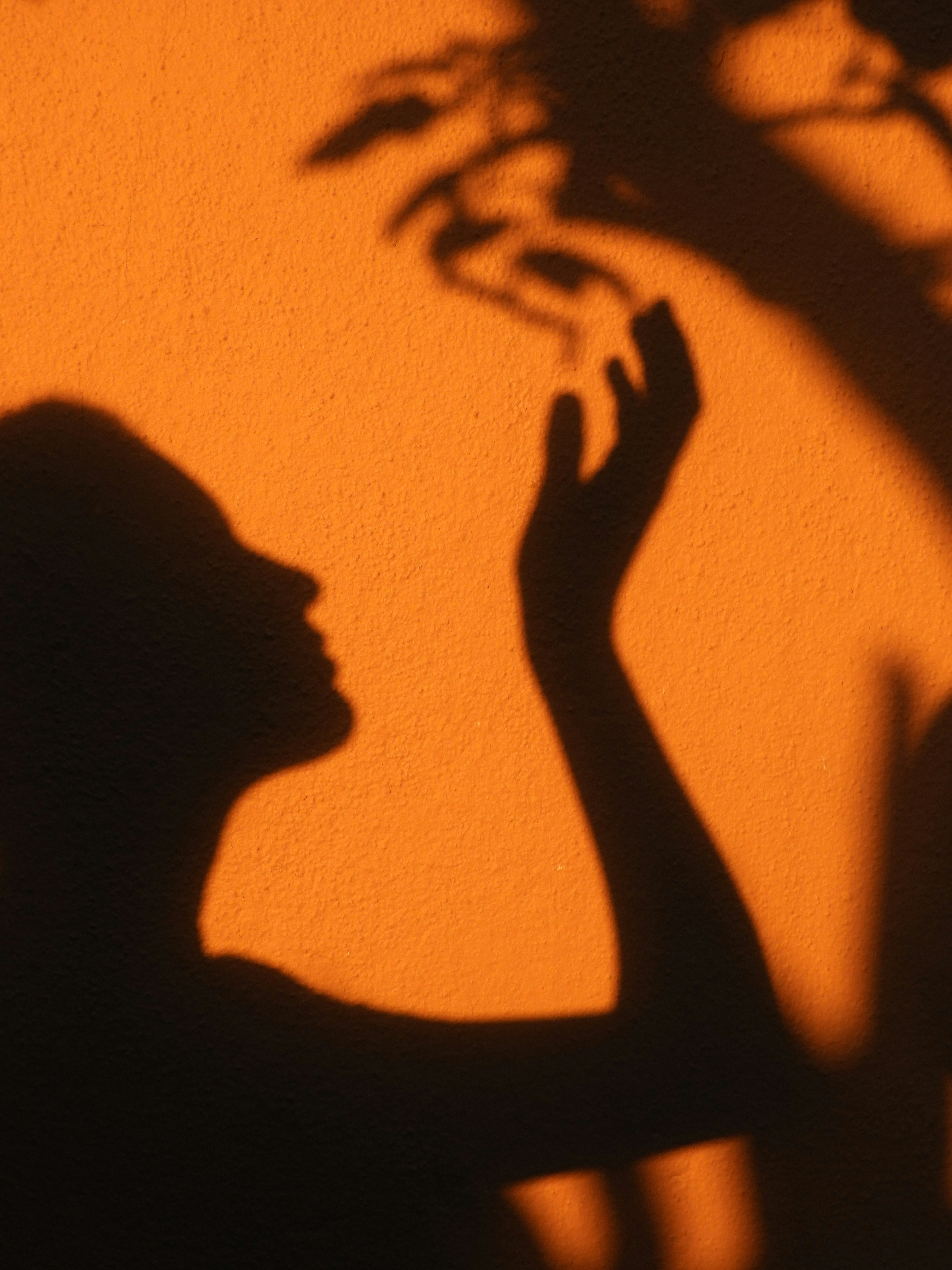 A silhouette of a person reaching toward tree branch shadows on a textured orange wall