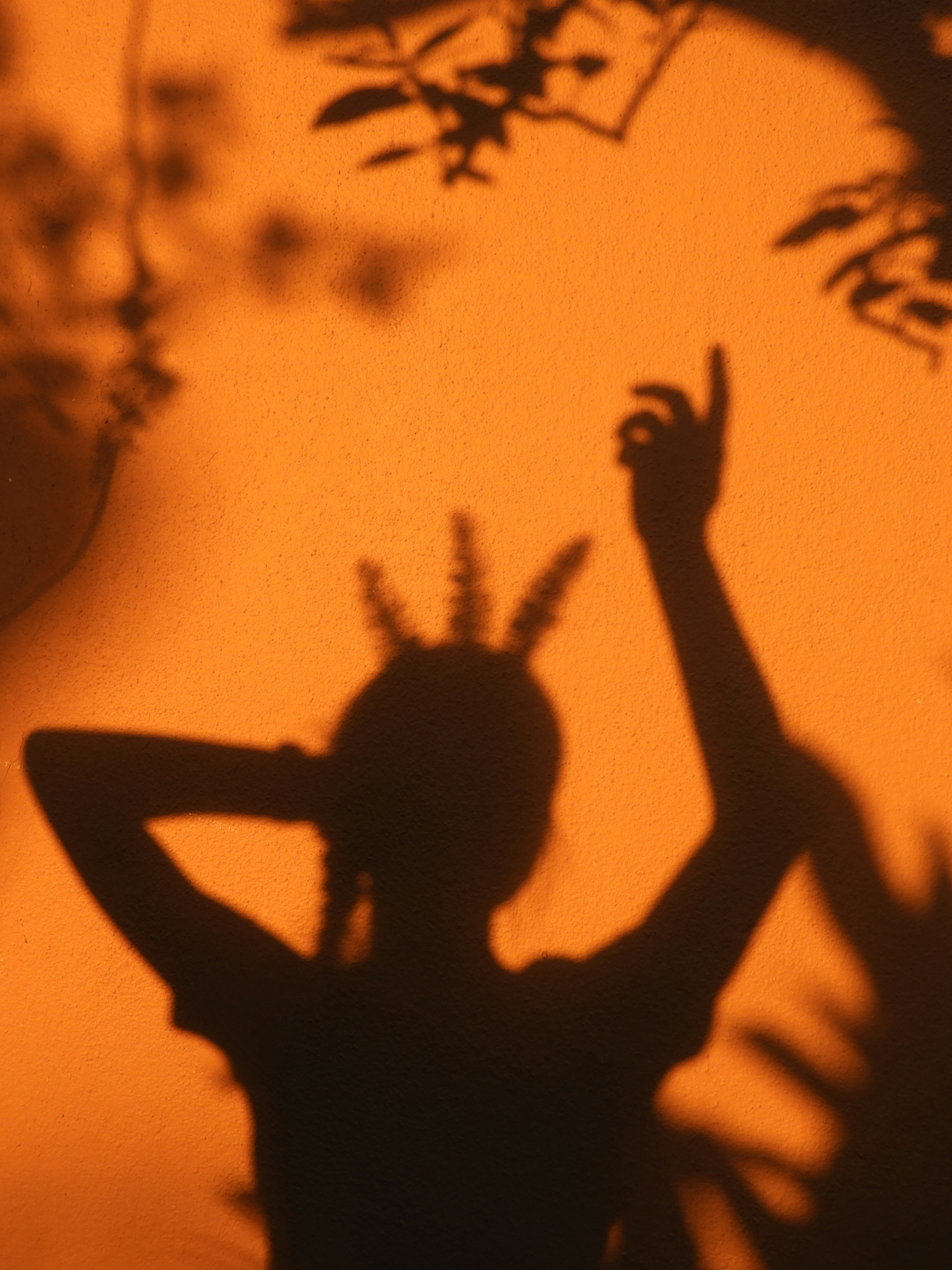 A silhouette of a person with plant leaves on their head against a warm orange wall