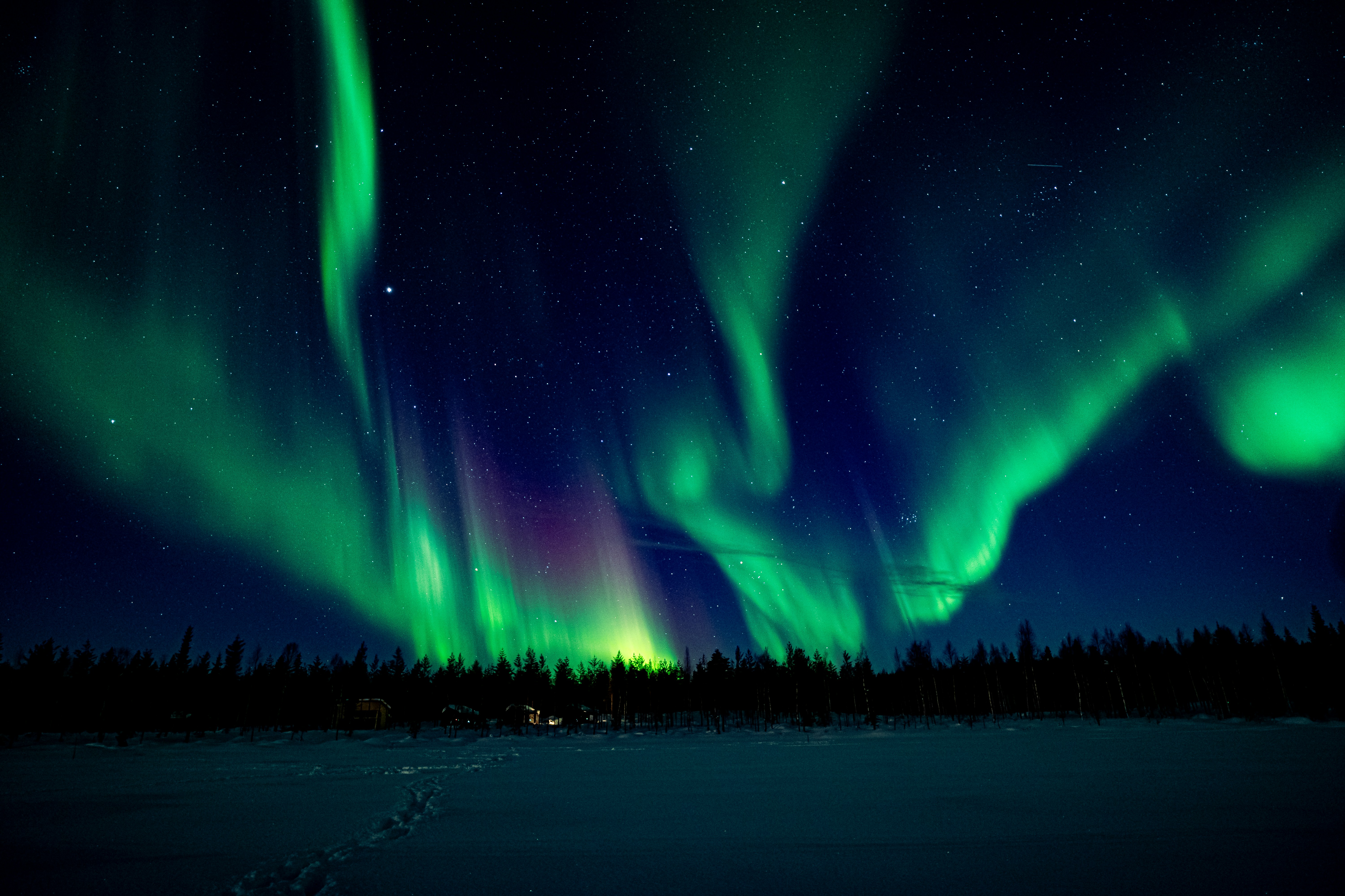 Green aurora borealis over dark forest - Free Photo on Unsplash