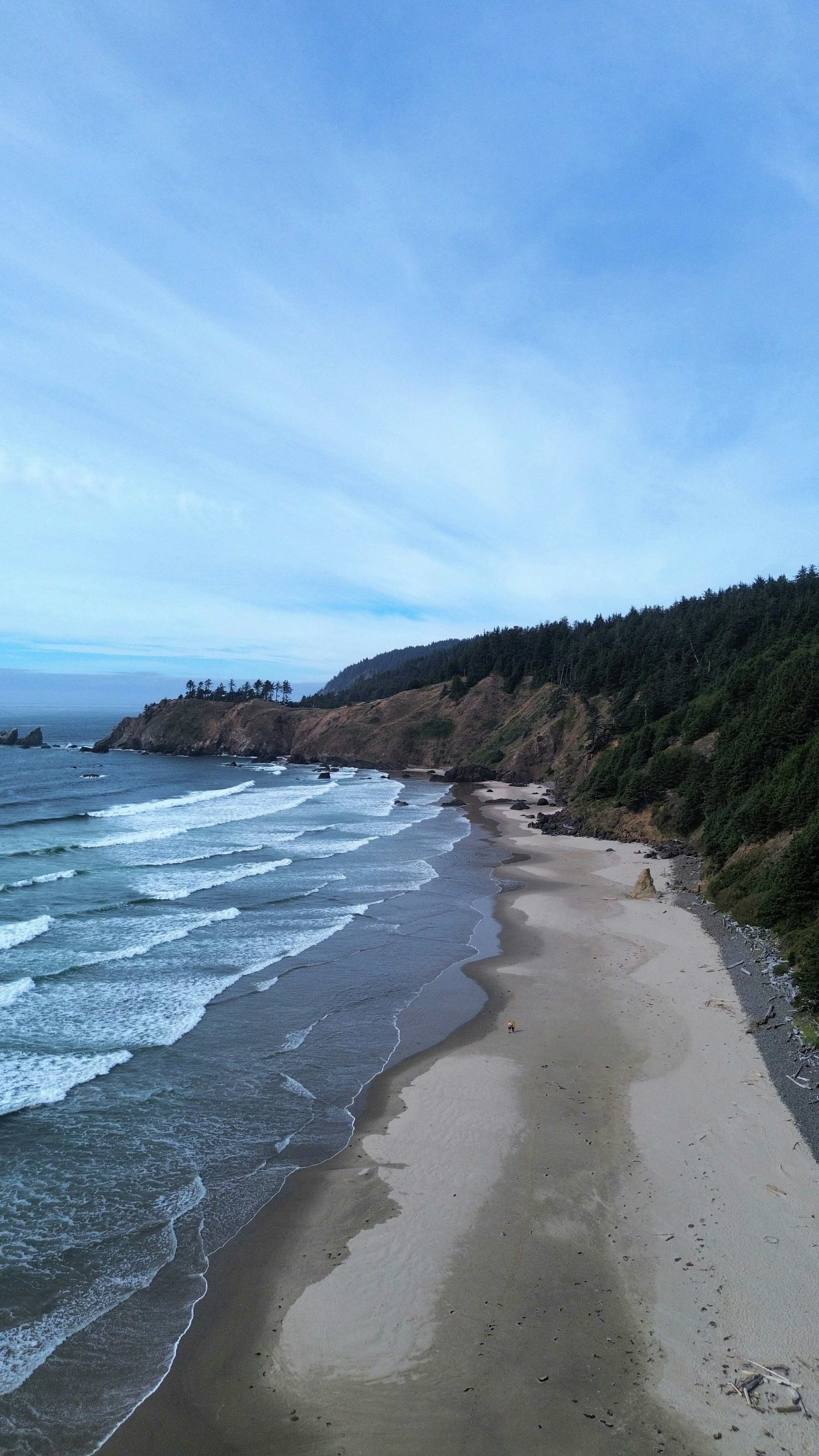 Sandy beach below forested cliffs - Free Photo on Unsplash