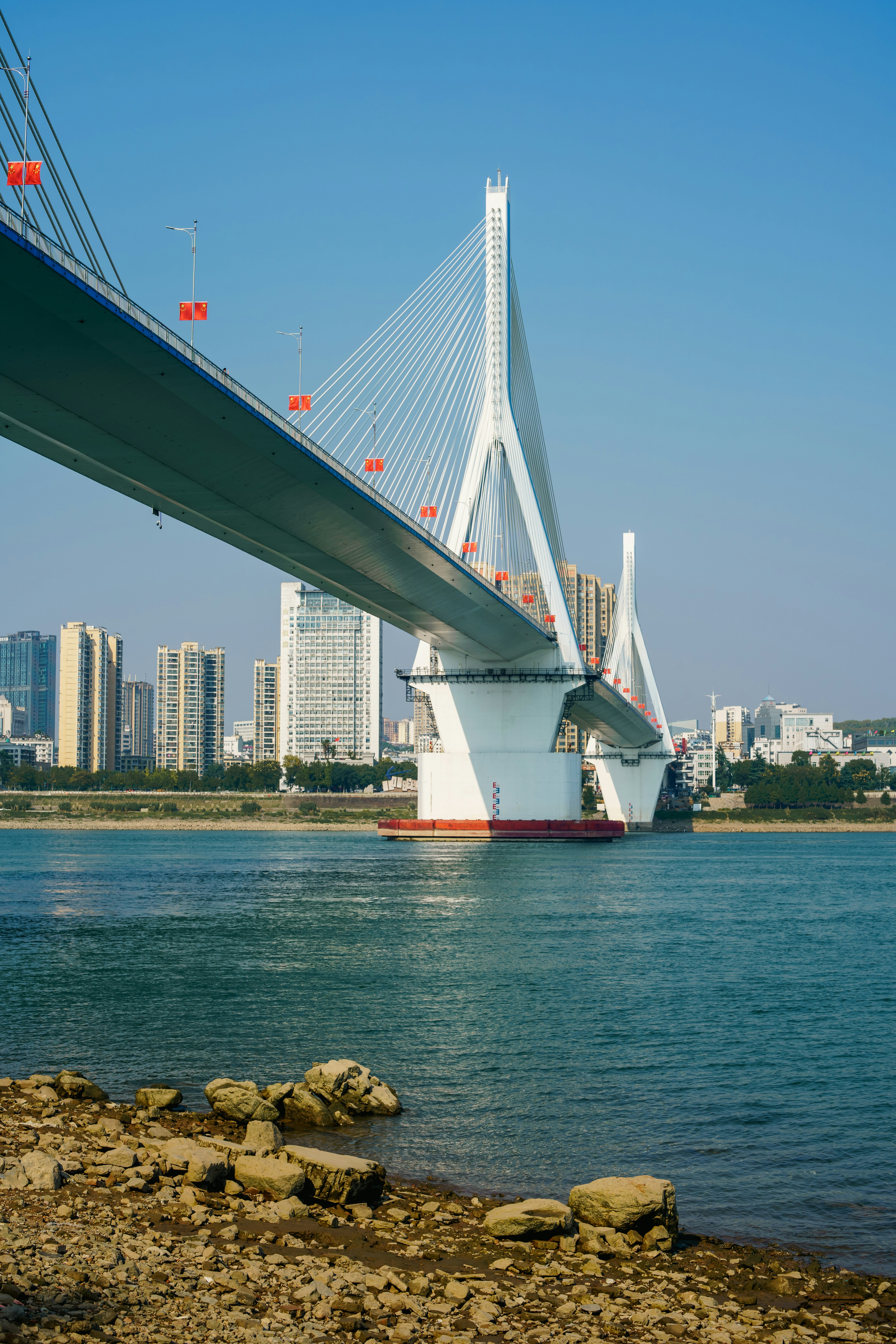 Cable-stayed bridge over wide river - Free Photo on Unsplash