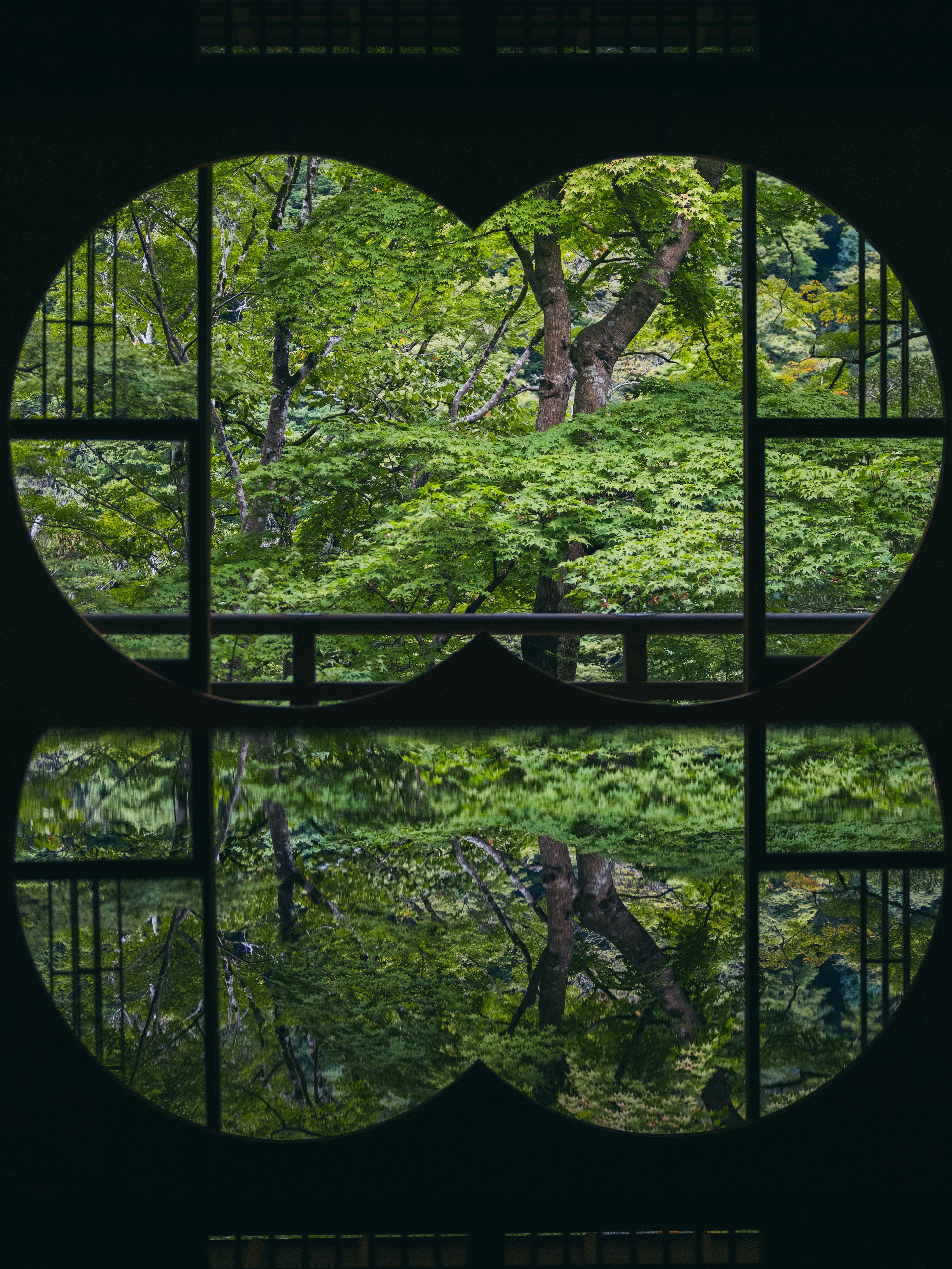 Maple tree reflection in traditional window - Free Photo on Unsplash