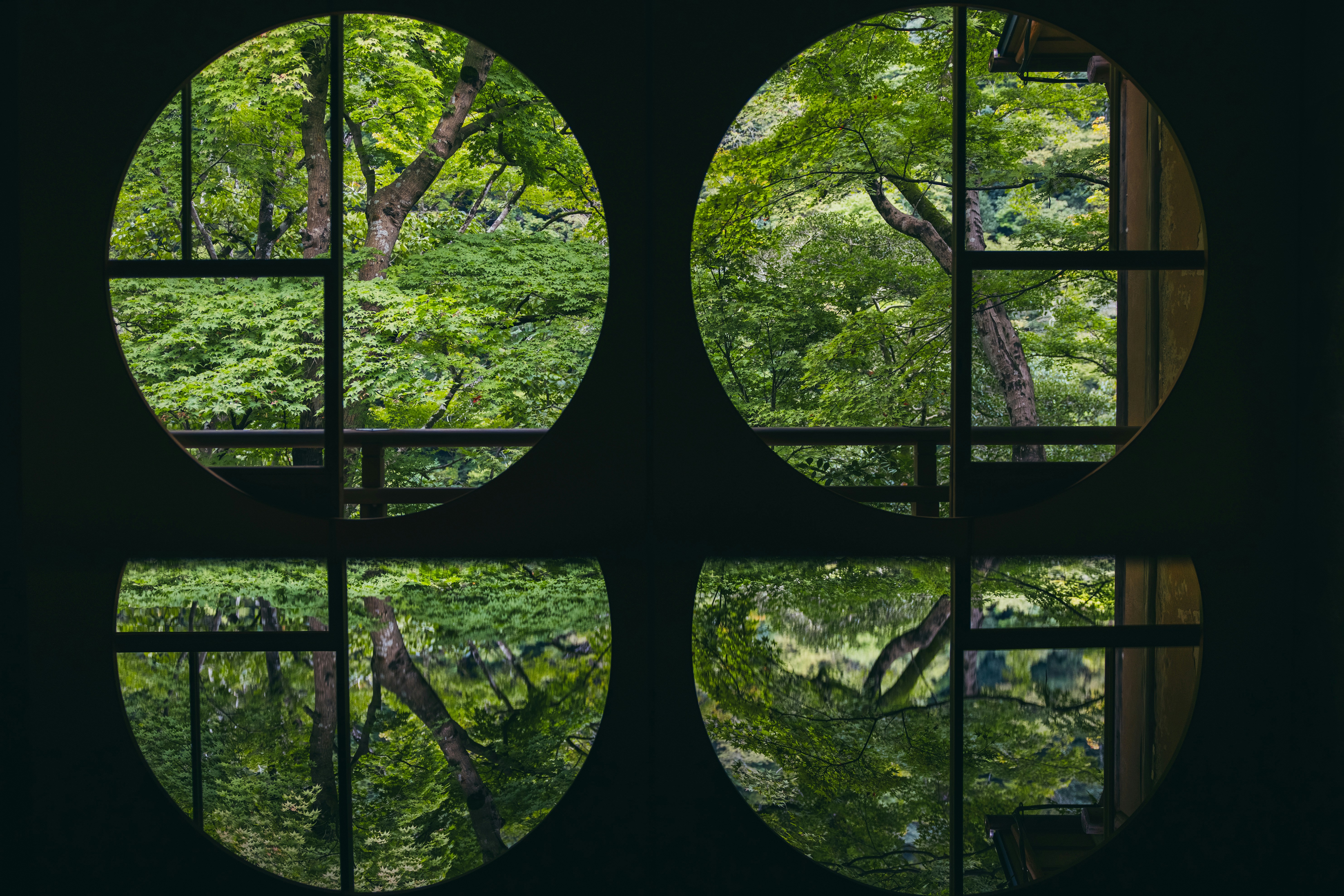 Circular windows with maple tree reflection - Free Photo on Unsplash