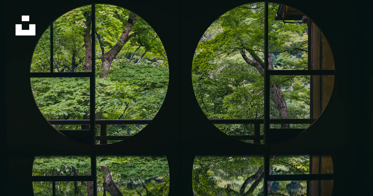 Two Tree Branch Logo Circular windows with maple tree reflection - Free Photo on Unsplash