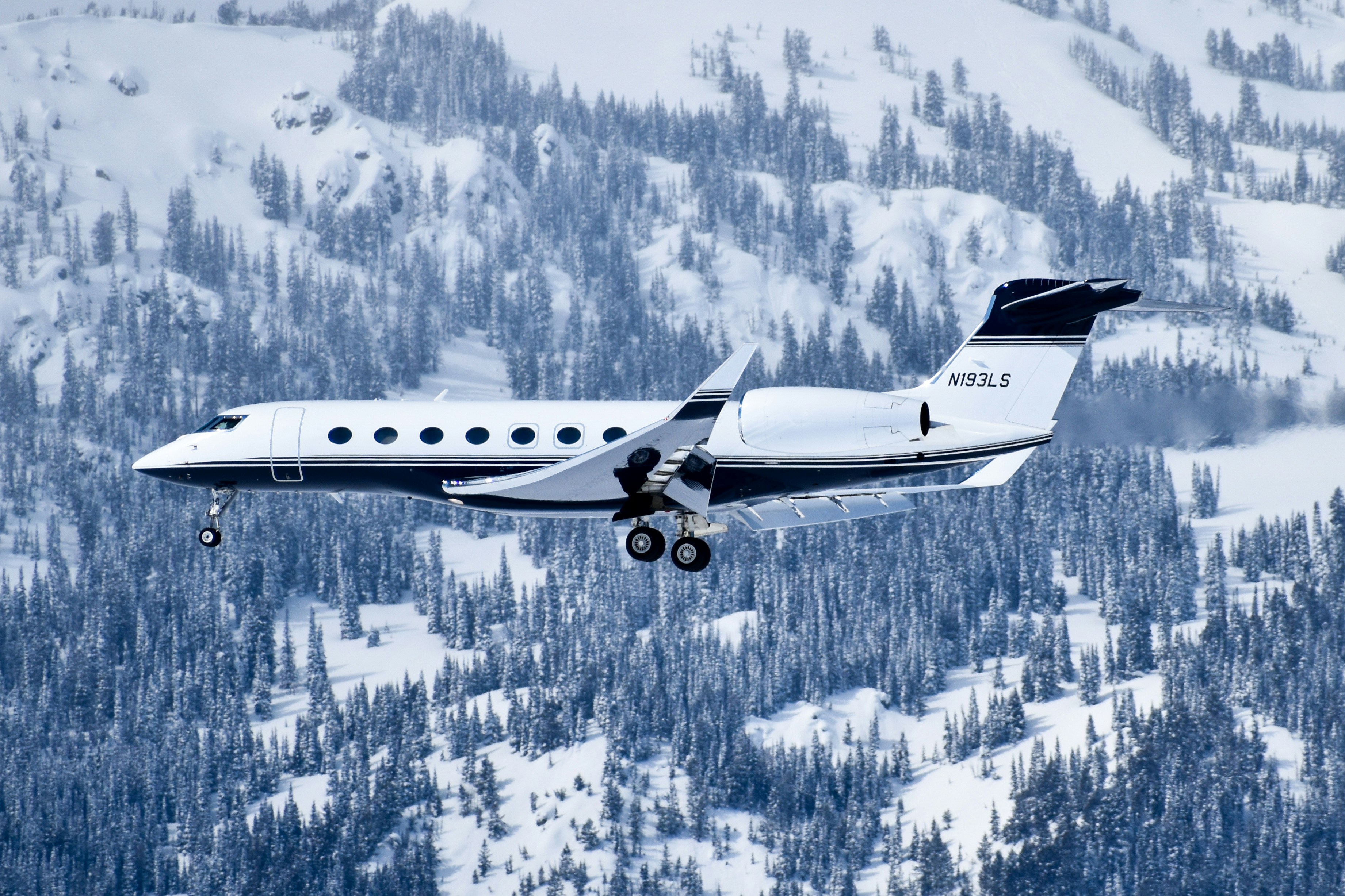 Private jet over snowy mountain forest - Free Photo on Unsplash