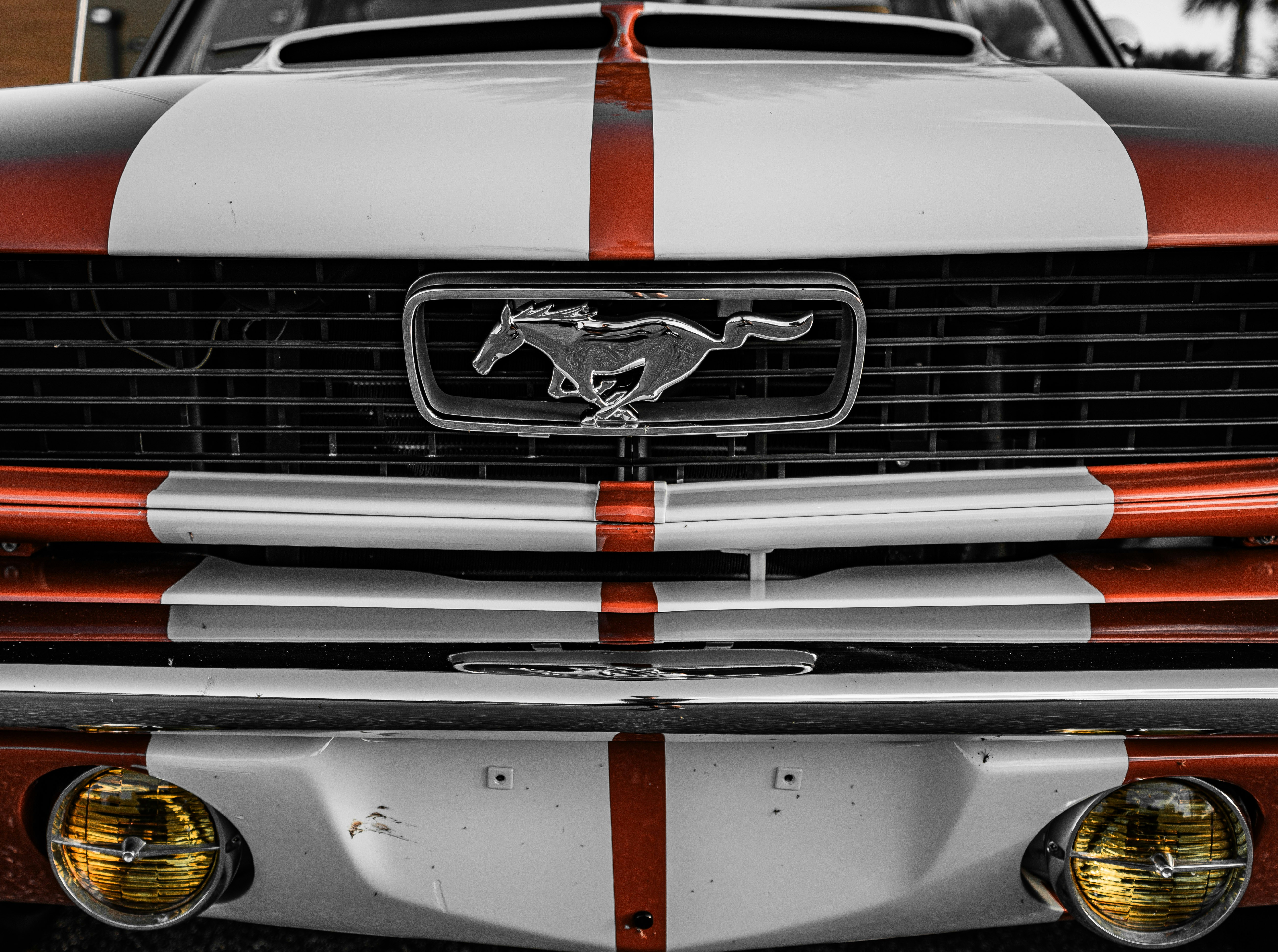 Ford Mustang front grille and emblem - Free Photo on Unsplash