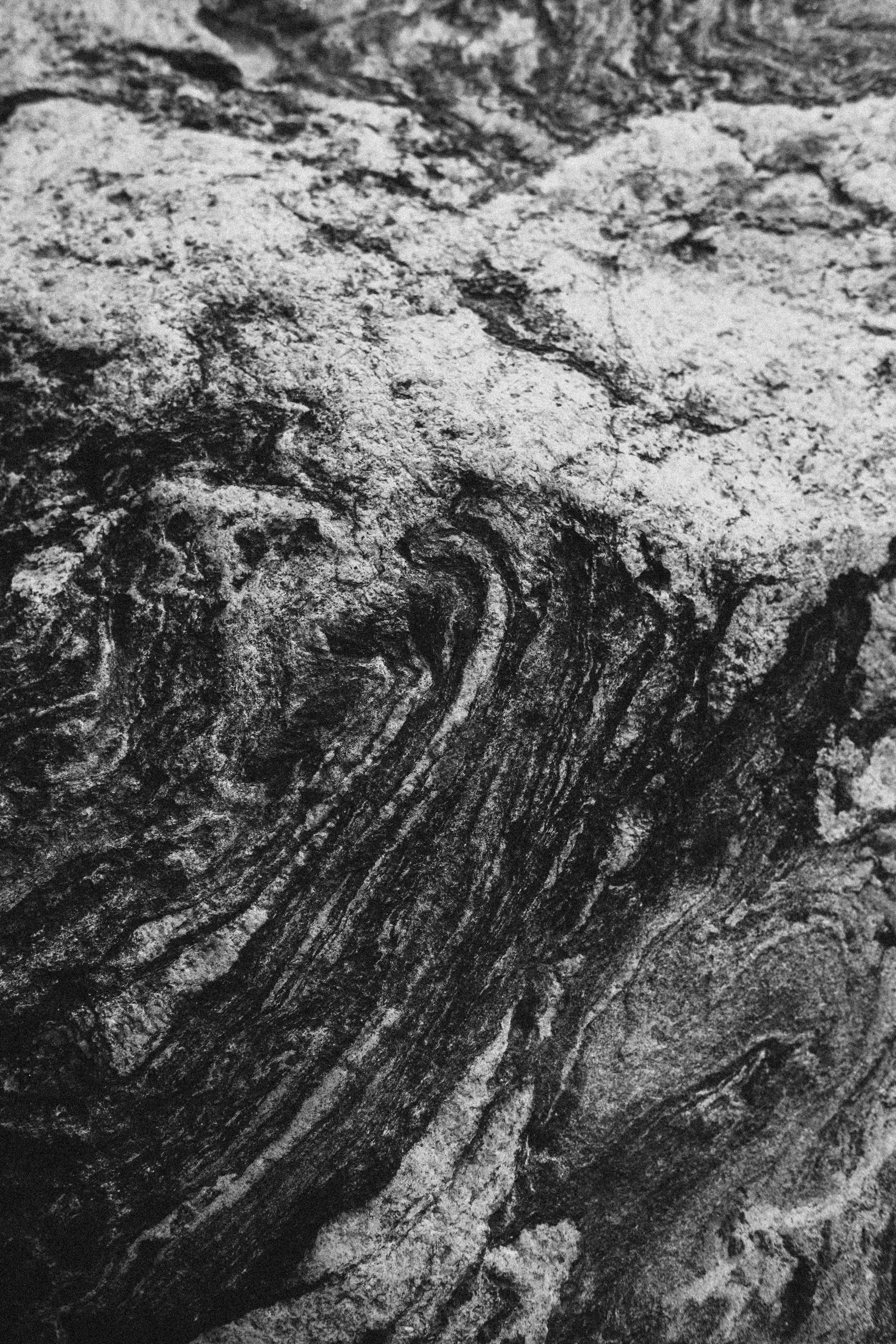A close-up of a grey rock with swirling black and white mineral veins