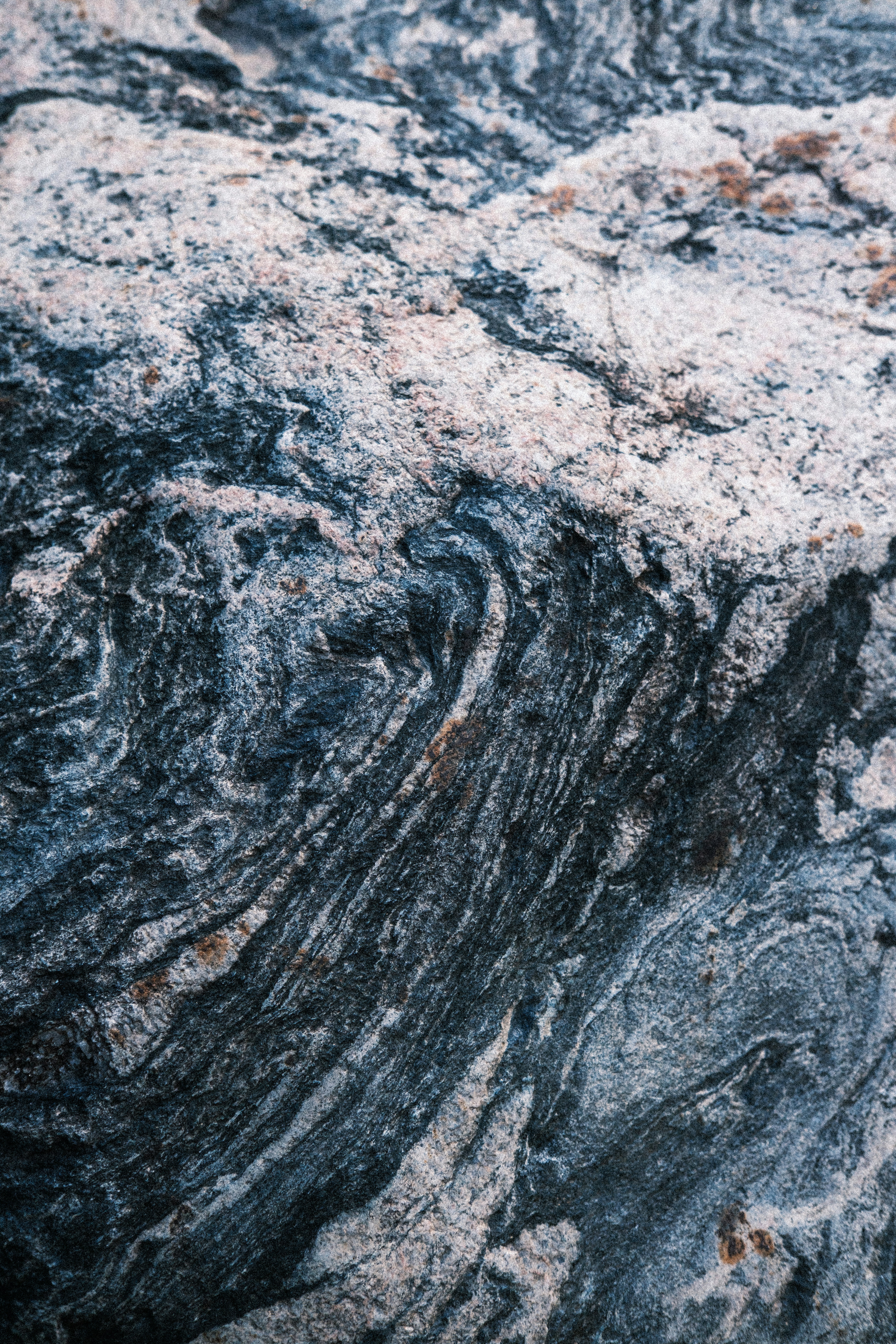 Close-up of a grey and black metamorphic rock with swirling mineral patterns