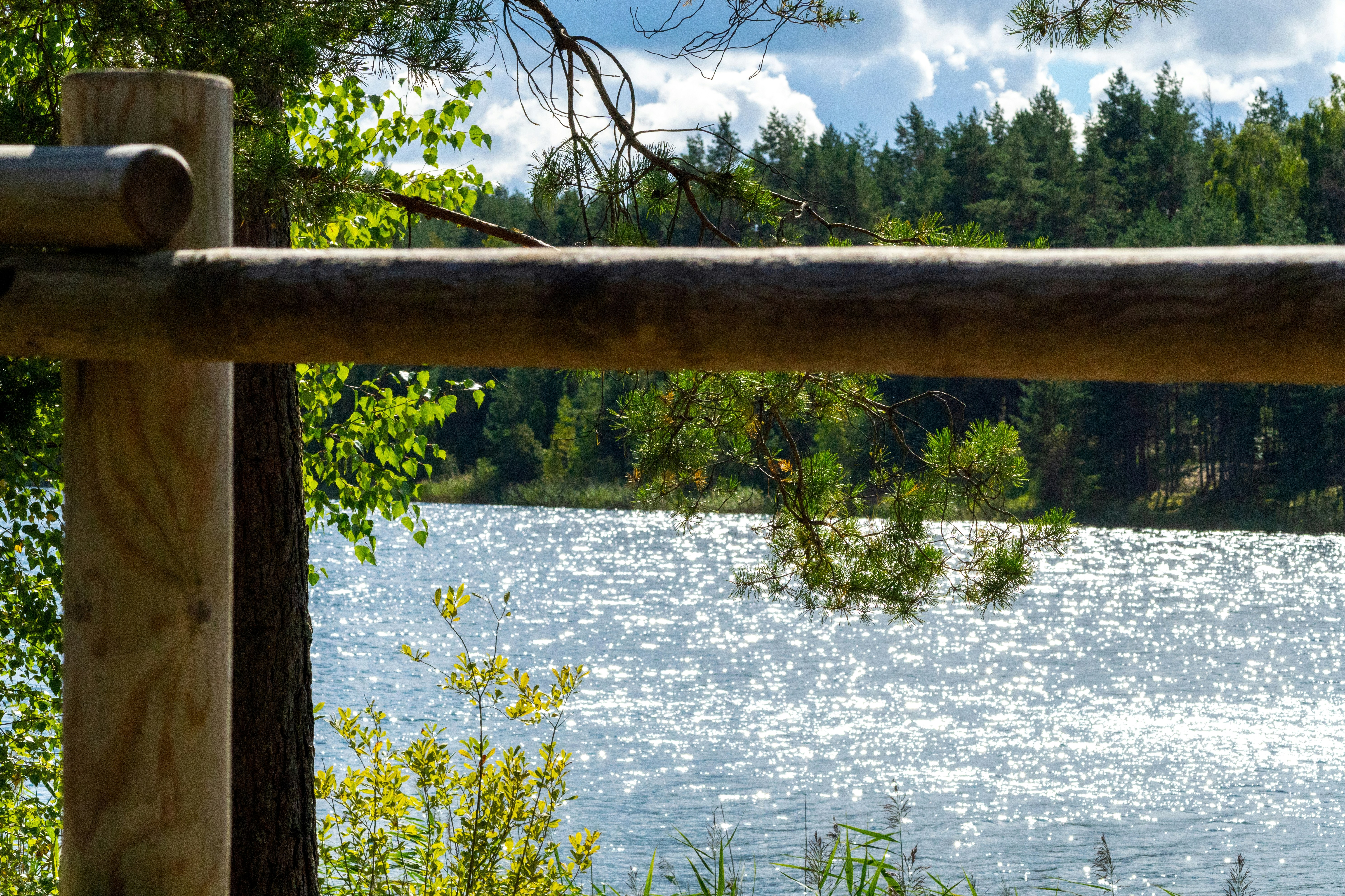 Wooden fence overlooking sunlit lake - Free Photo on Unsplash