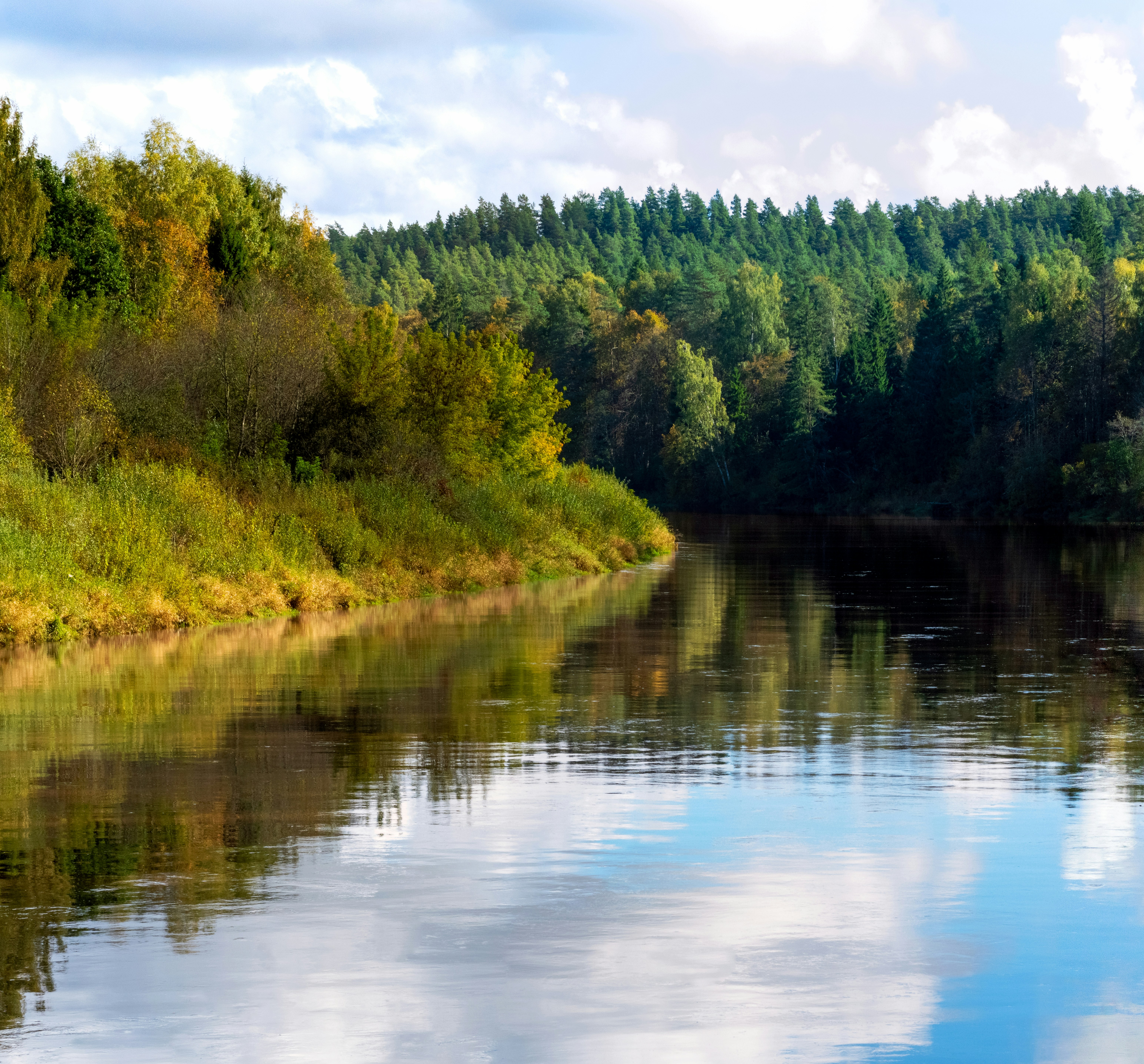 Calm river reflecting autumn forest - Free Photo on Unsplash