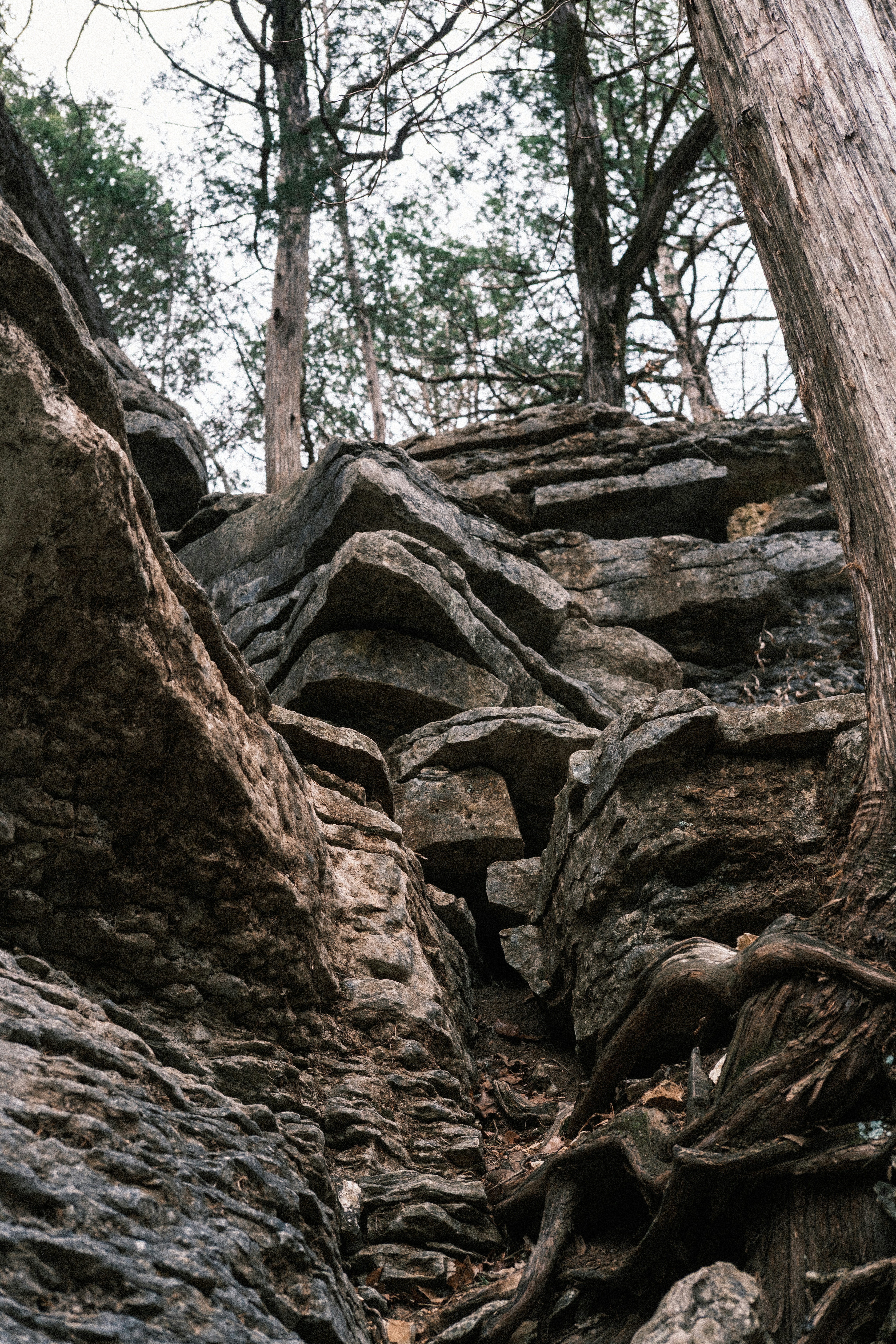Limestone rock formations on hillside - Free Photo on Unsplash
