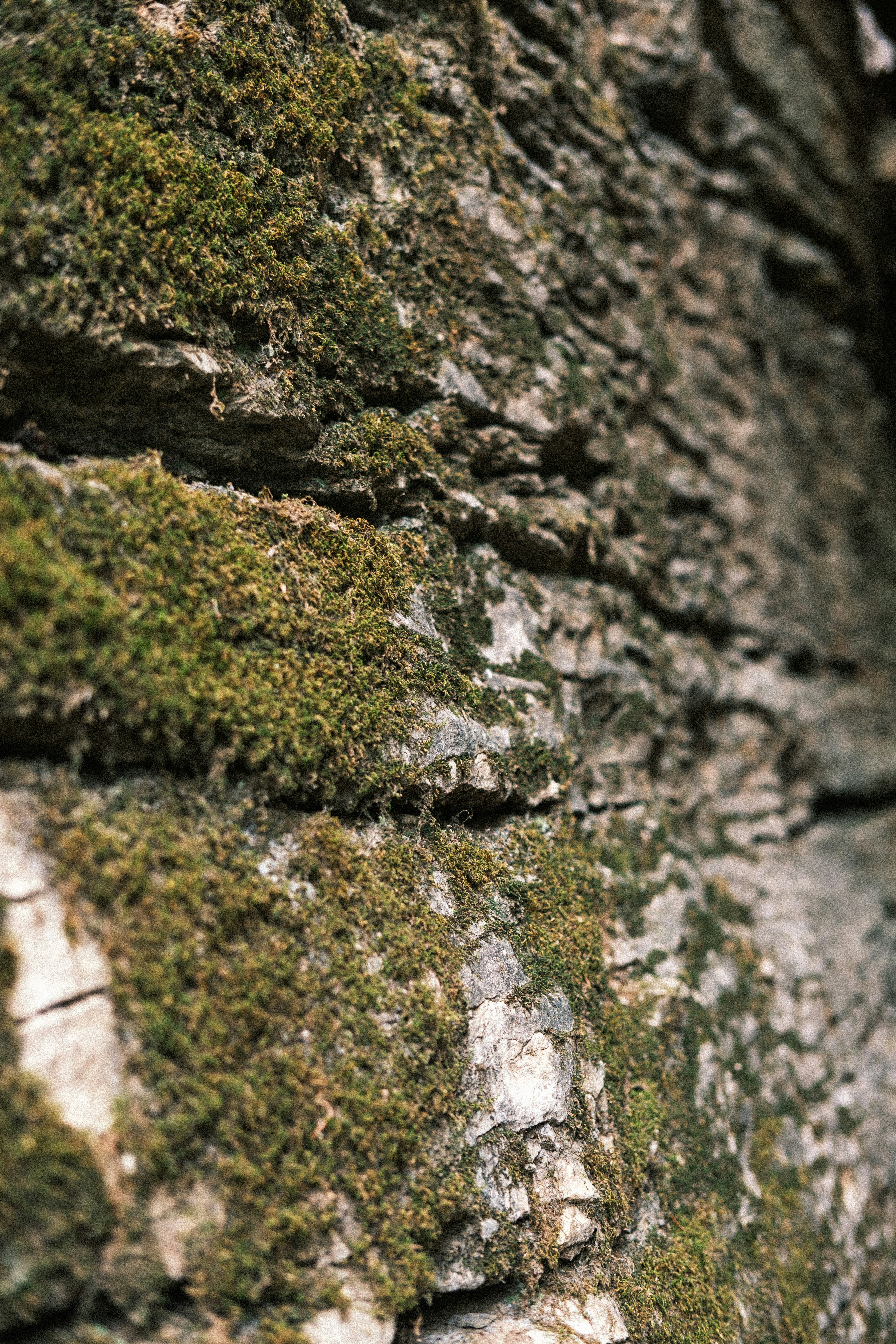 Rough stone wall with green moss - Free Photo on Unsplash
