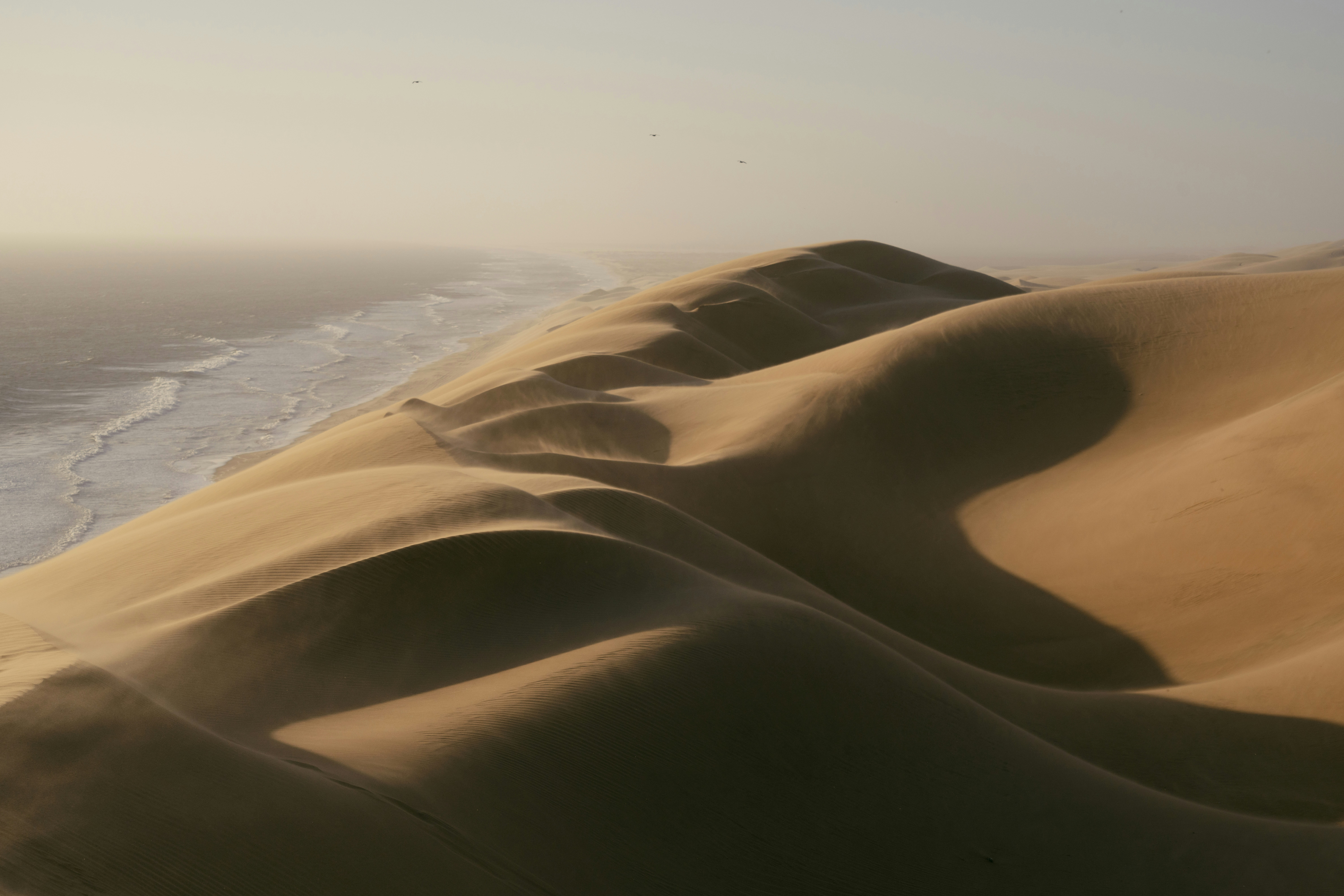 Sand dunes meeting the Atlantic Ocean along the coast of Anichab in Namibia