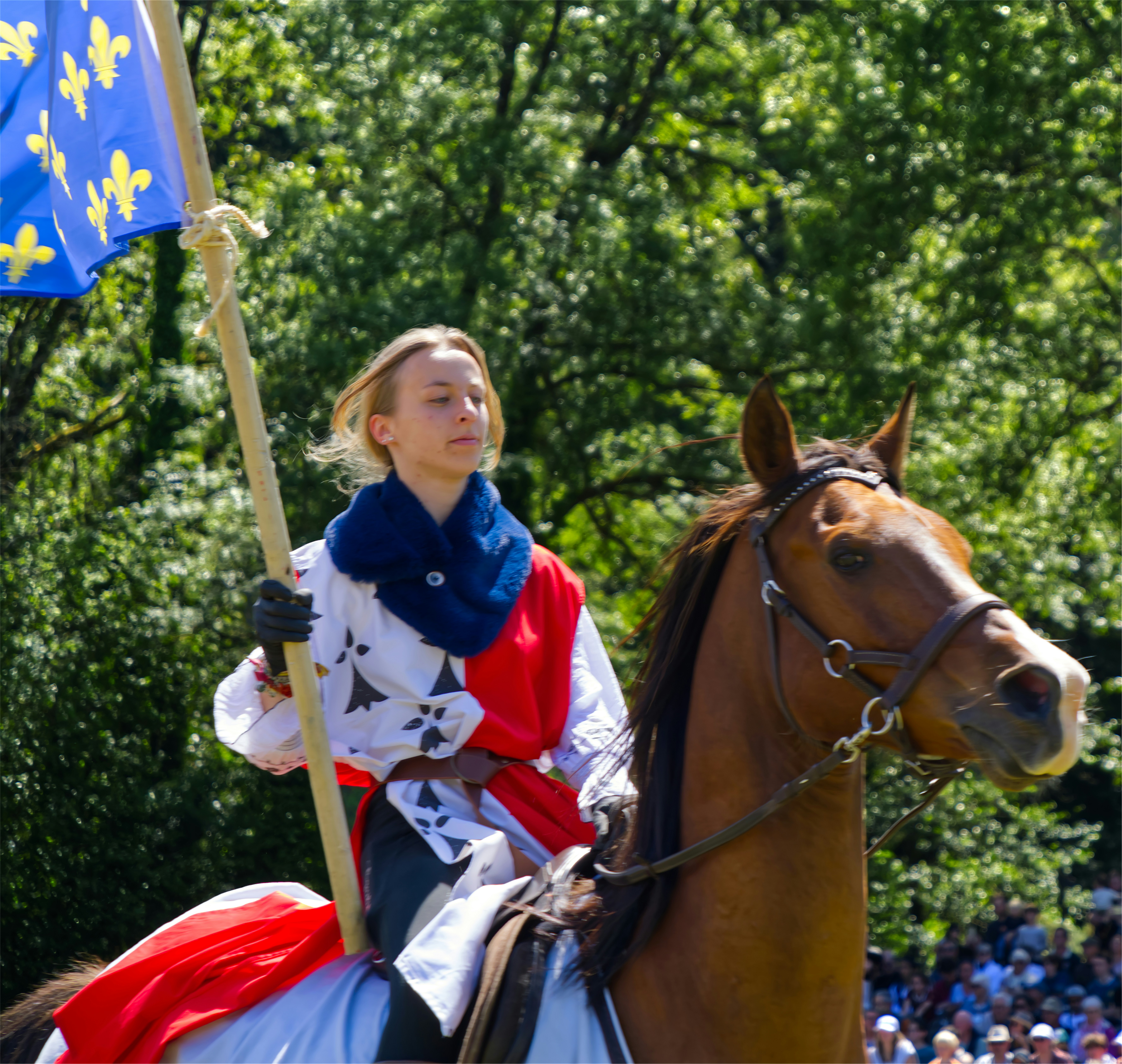Person in medieval costume riding horse - Free Photo on Unsplash