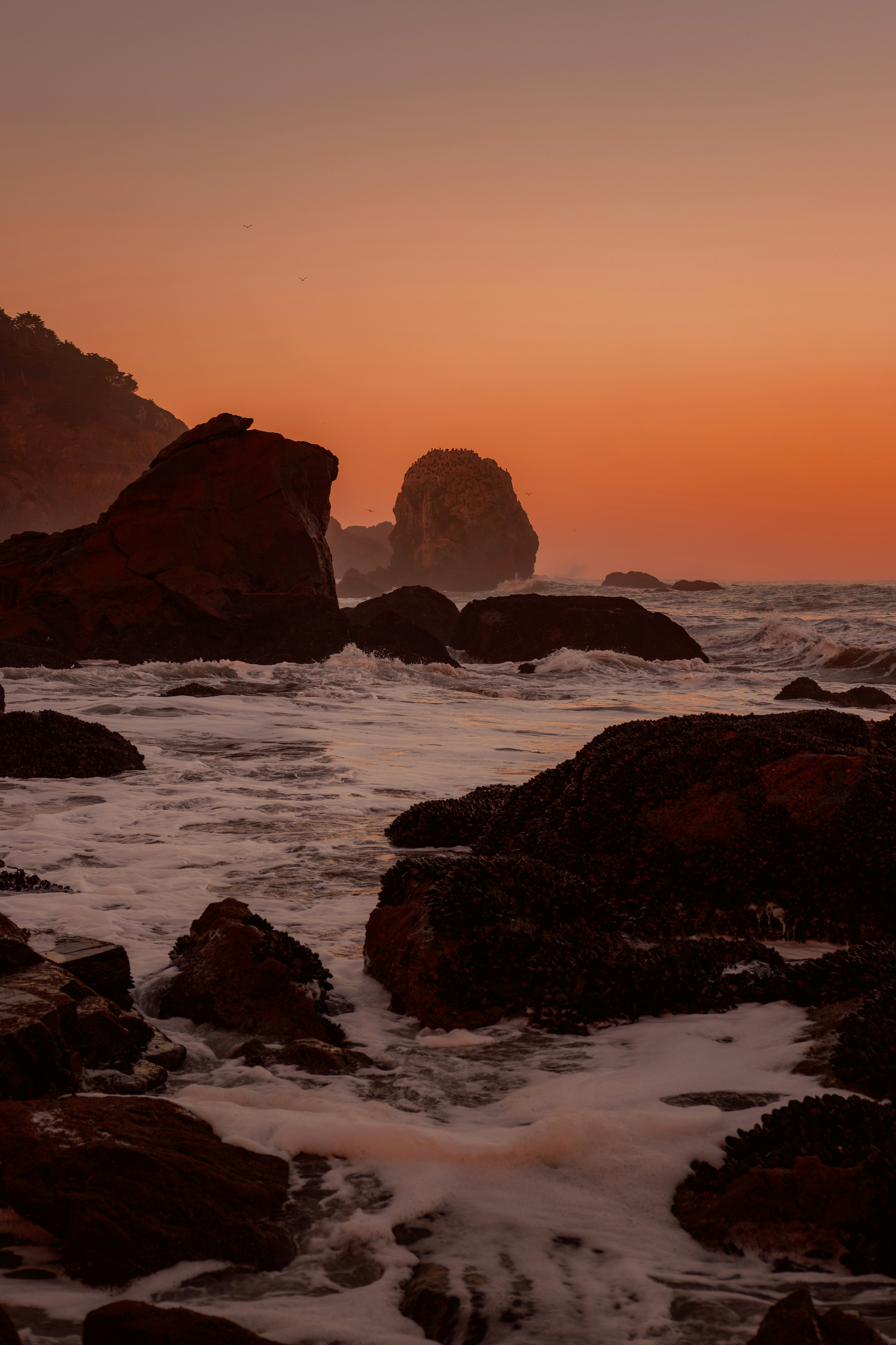 Waves crashing on San Francisco beach - Free Photo on Unsplash