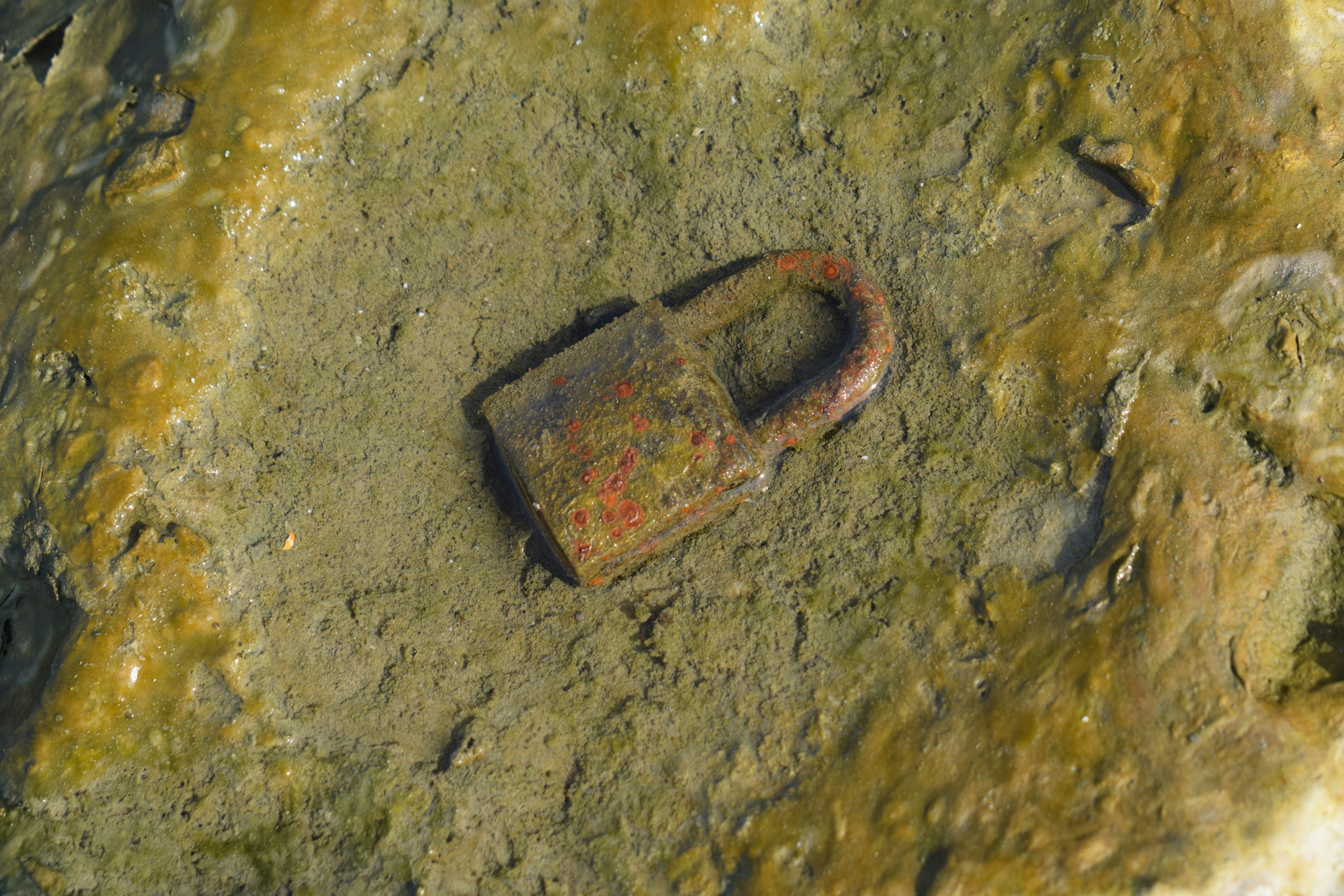 Rusted padlock on mossy stone - Free Photo on Unsplash