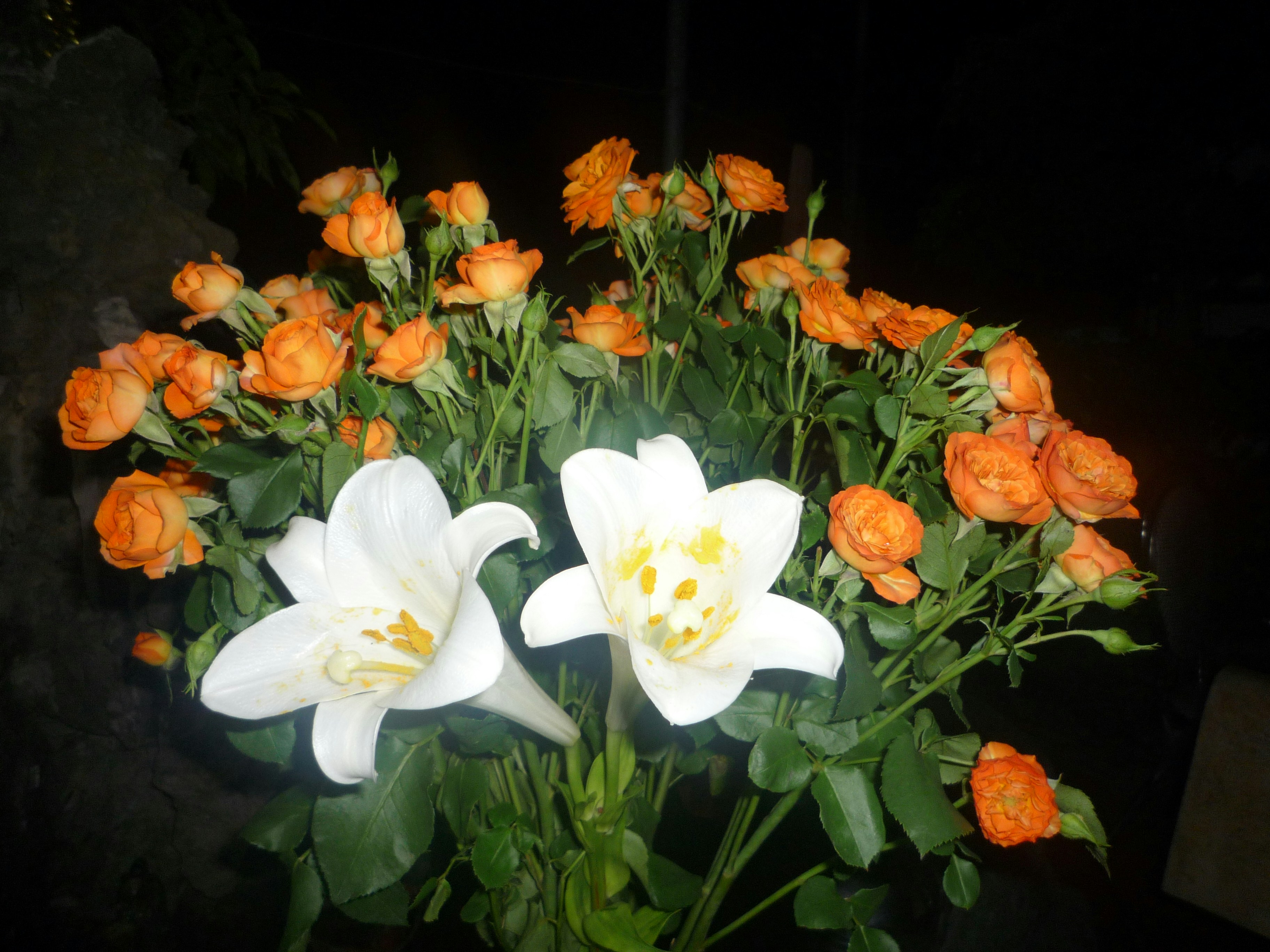 White lilies and orange roses bouquet - Free Photo on Unsplash