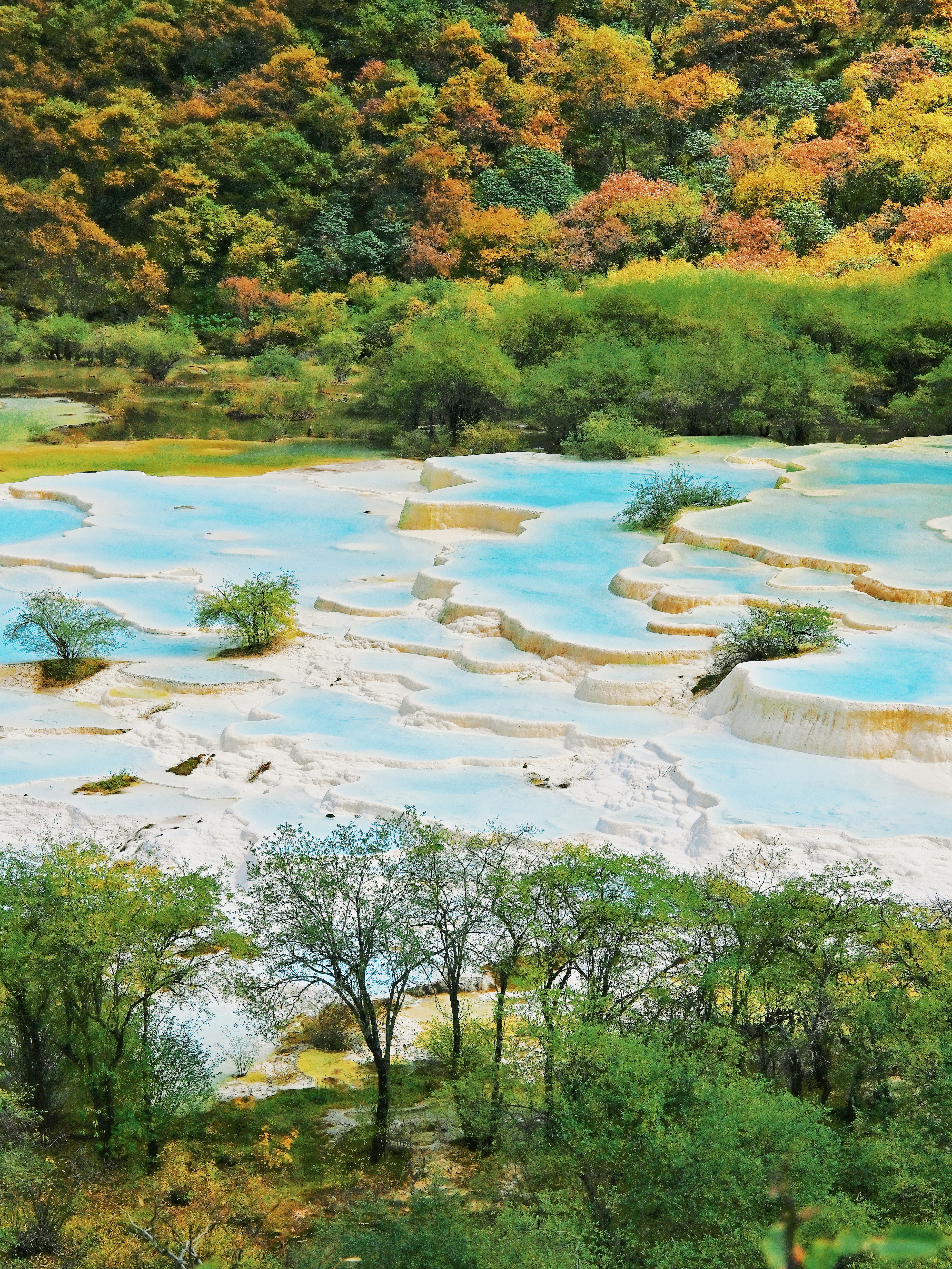 Turquoise pools and travertine terraces - Free Photo on Unsplash
