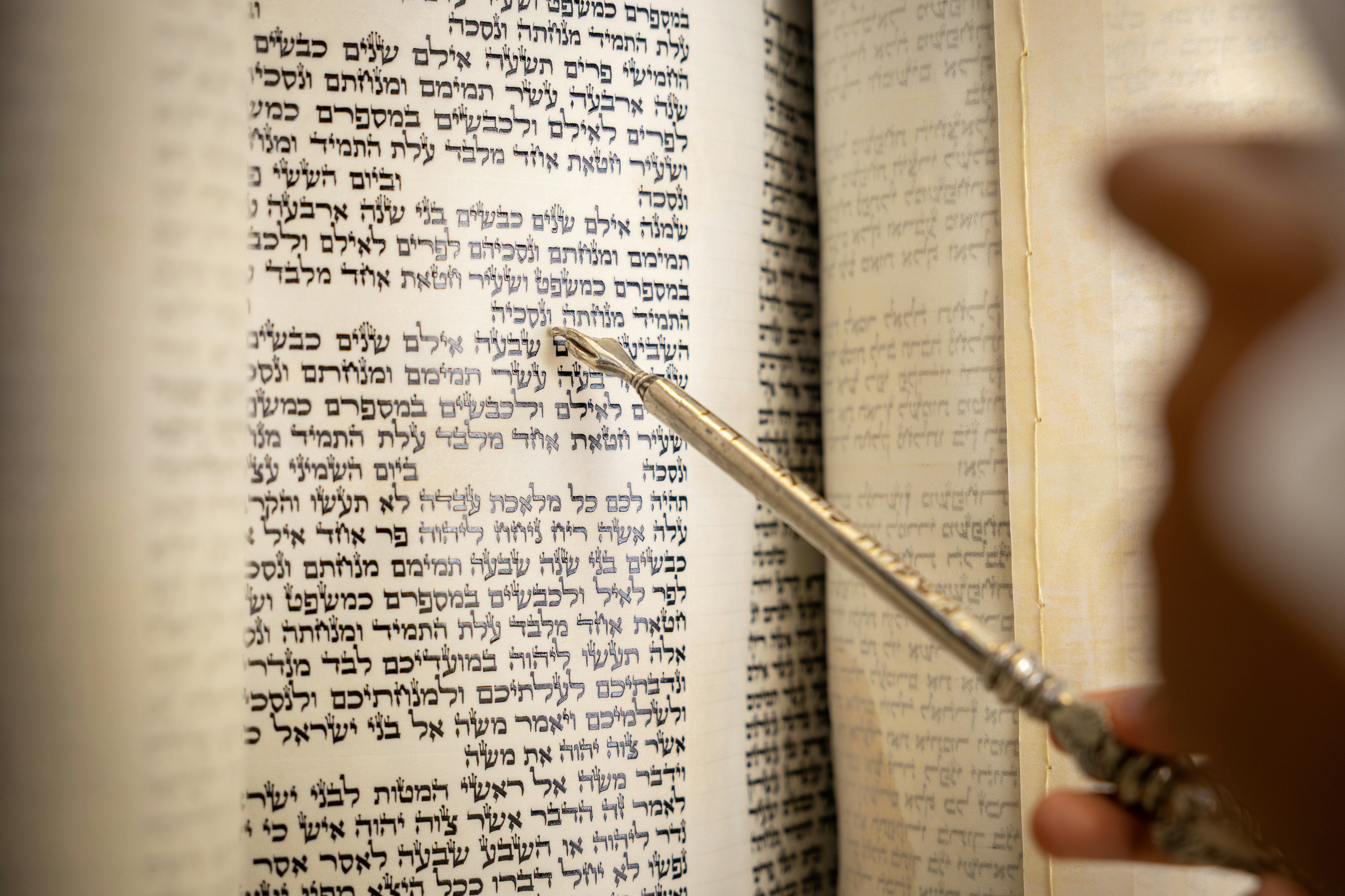 A hand using a silver yad to point at Hebrew text on a parchment Torah scroll