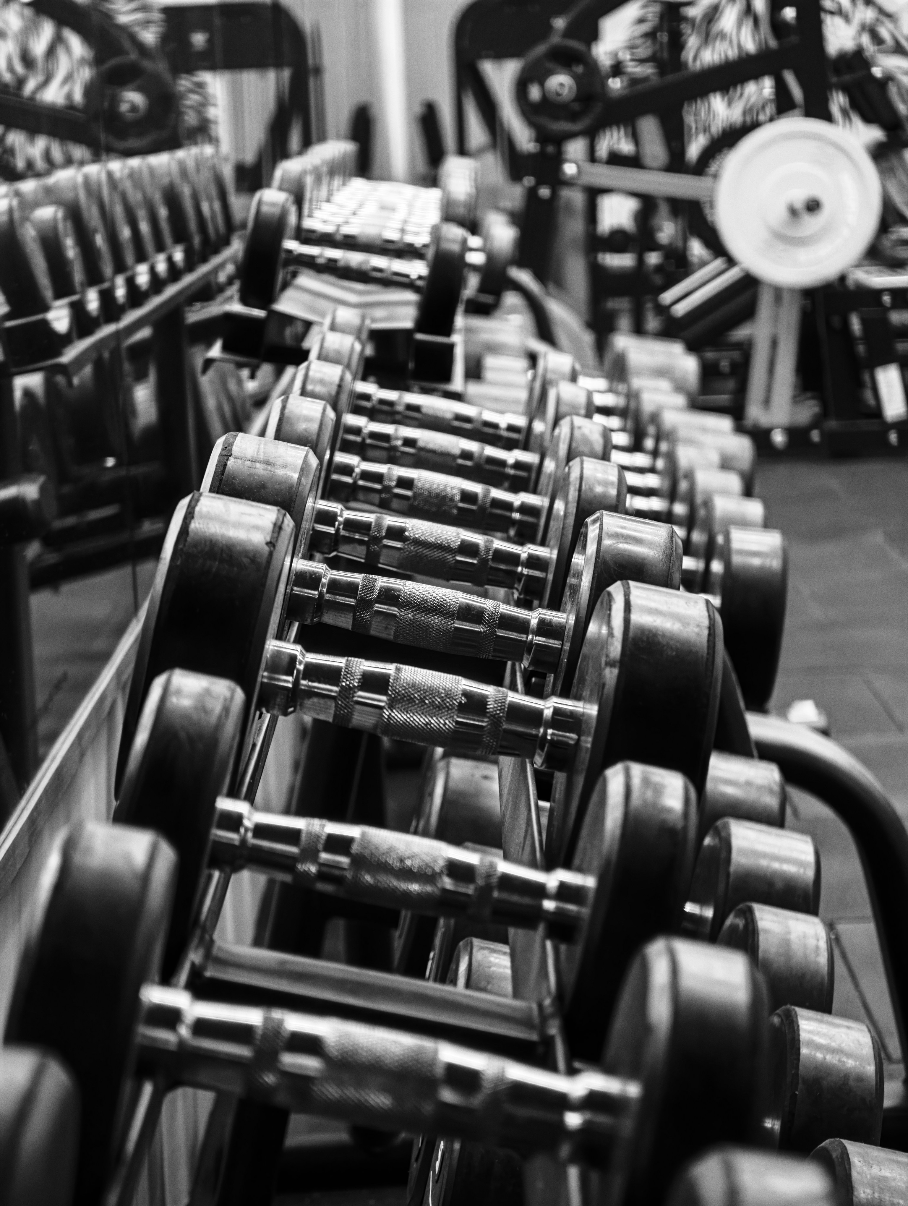 Dumbbells on rack in gym - Free Photo on Unsplash
