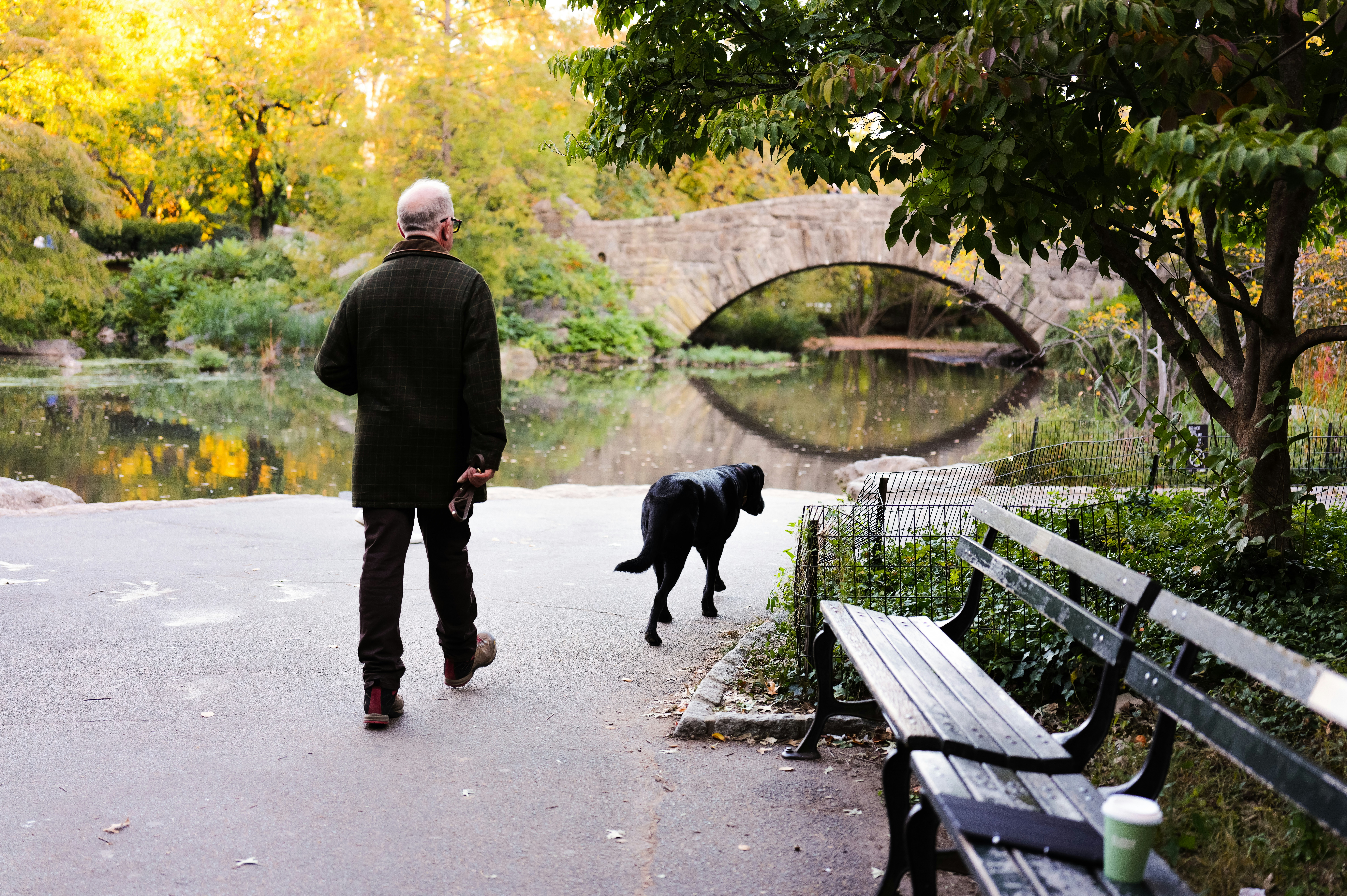 An adult walking a black dog on a path near Gapstow Bridge in Central Park