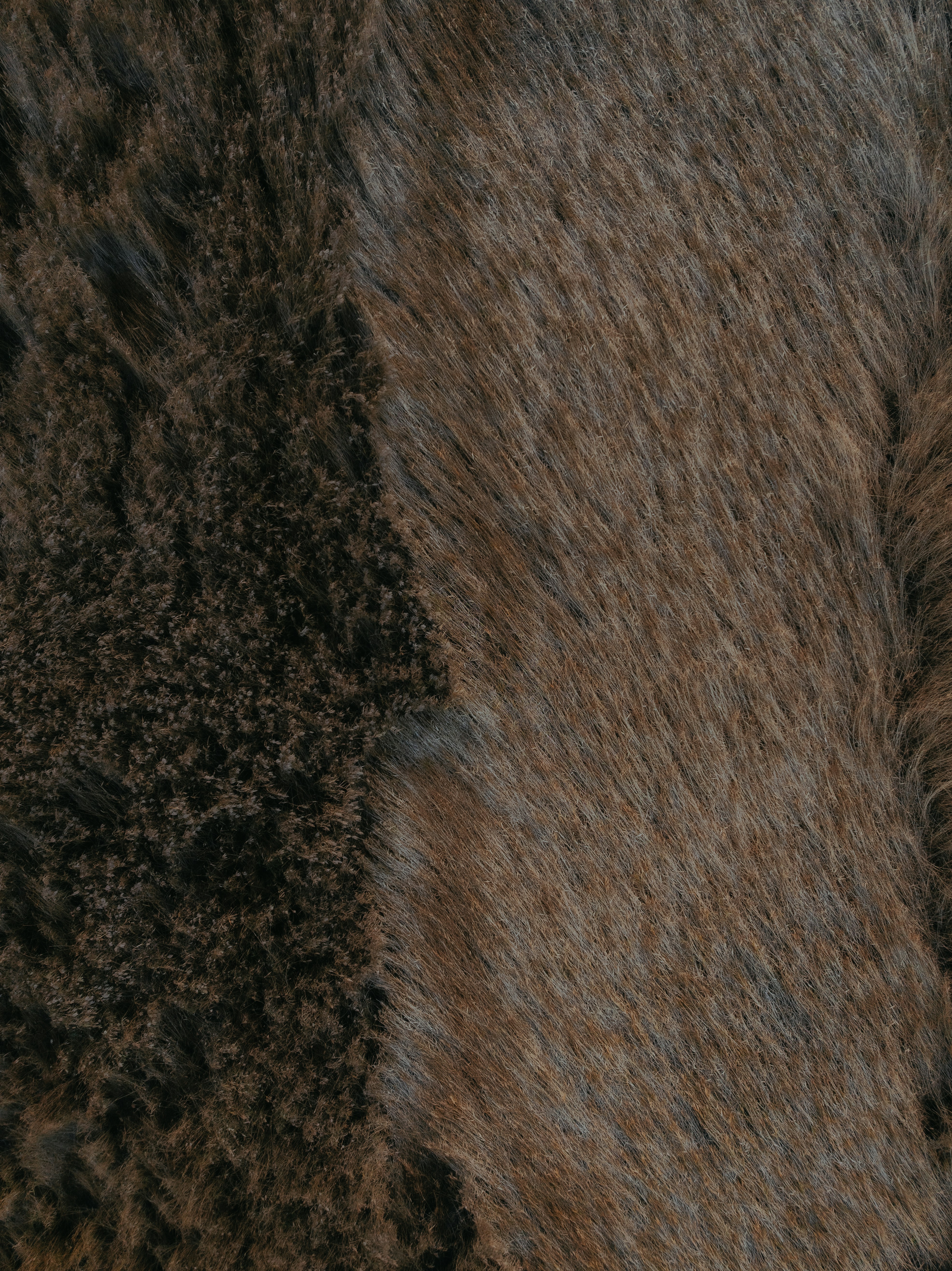 Aerial view of brown grass - Free Photo on Unsplash