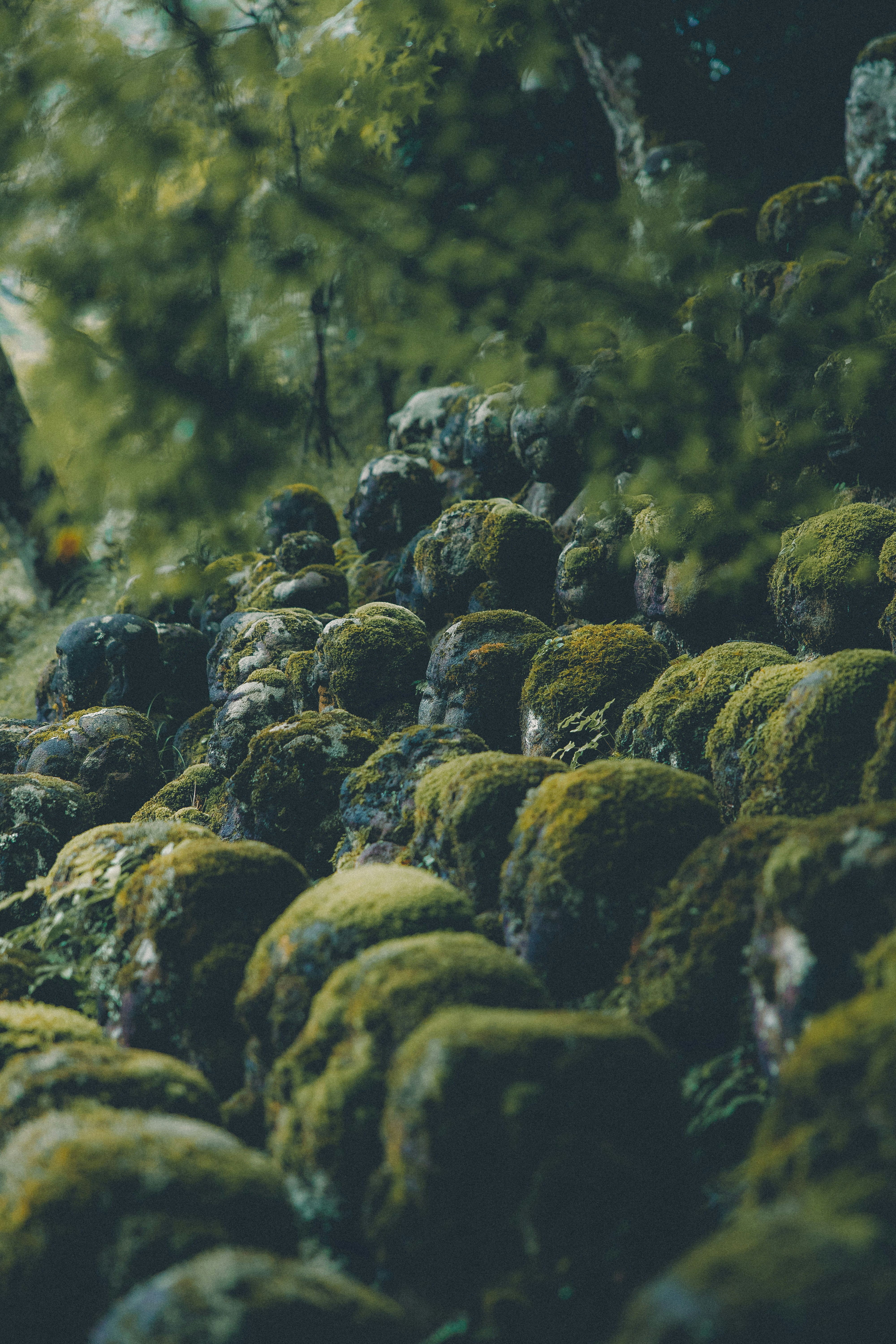 Mossy stone statues on forest hillside - Free Photo on Unsplash