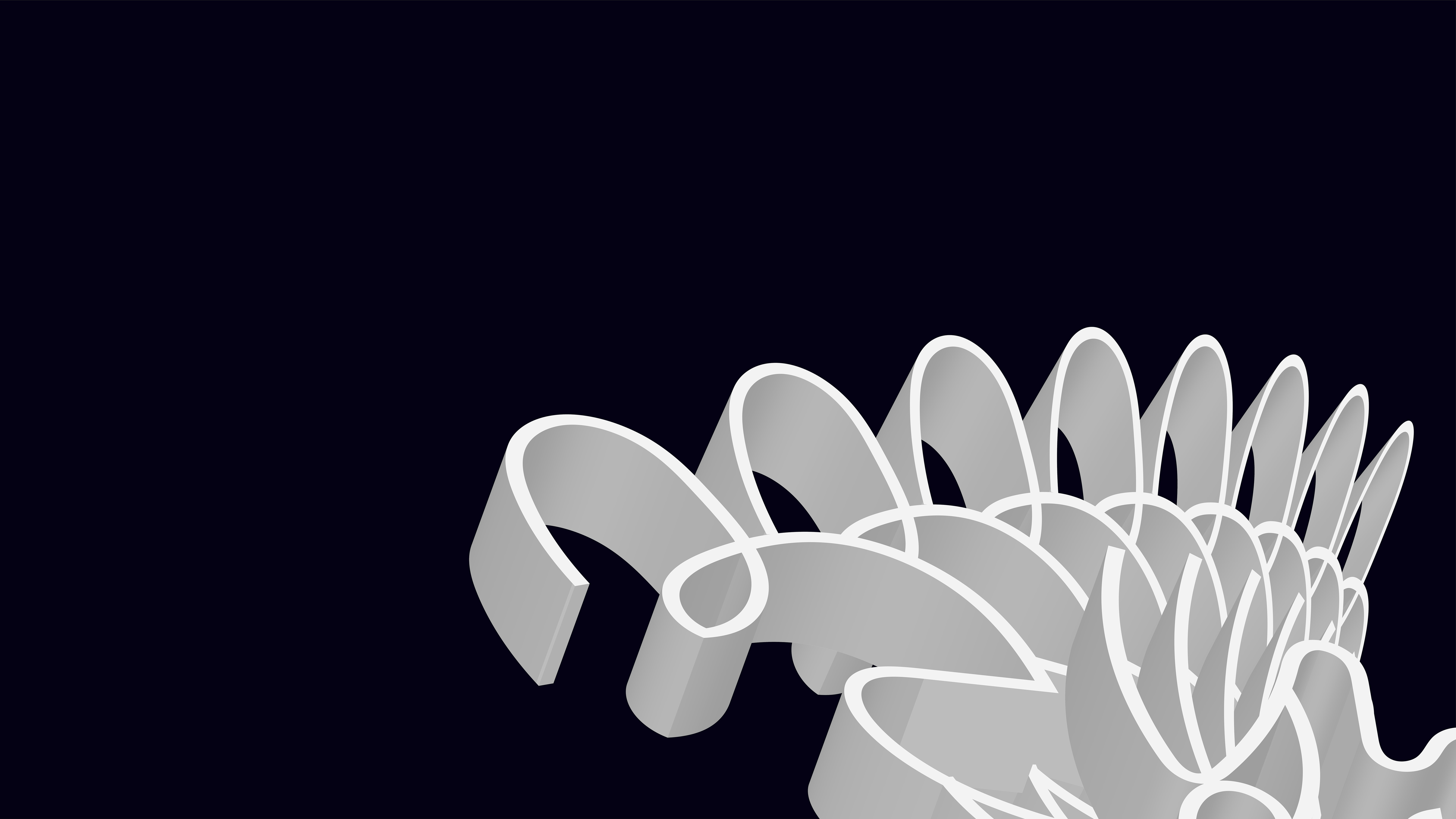 White abstract ribbon shapes - Free Photo on Unsplash
