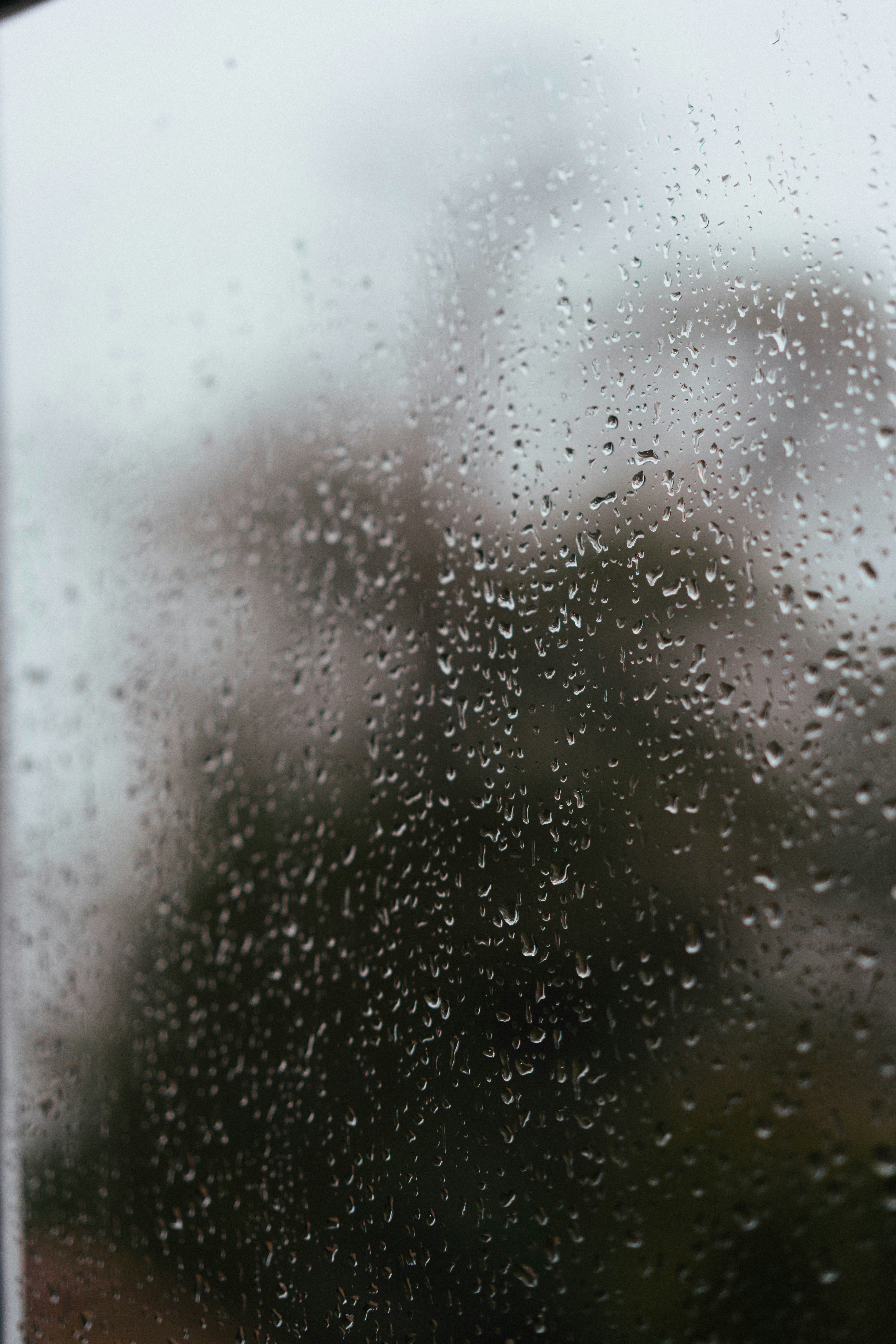 Raindrops on window pane - Free Photo on Unsplash