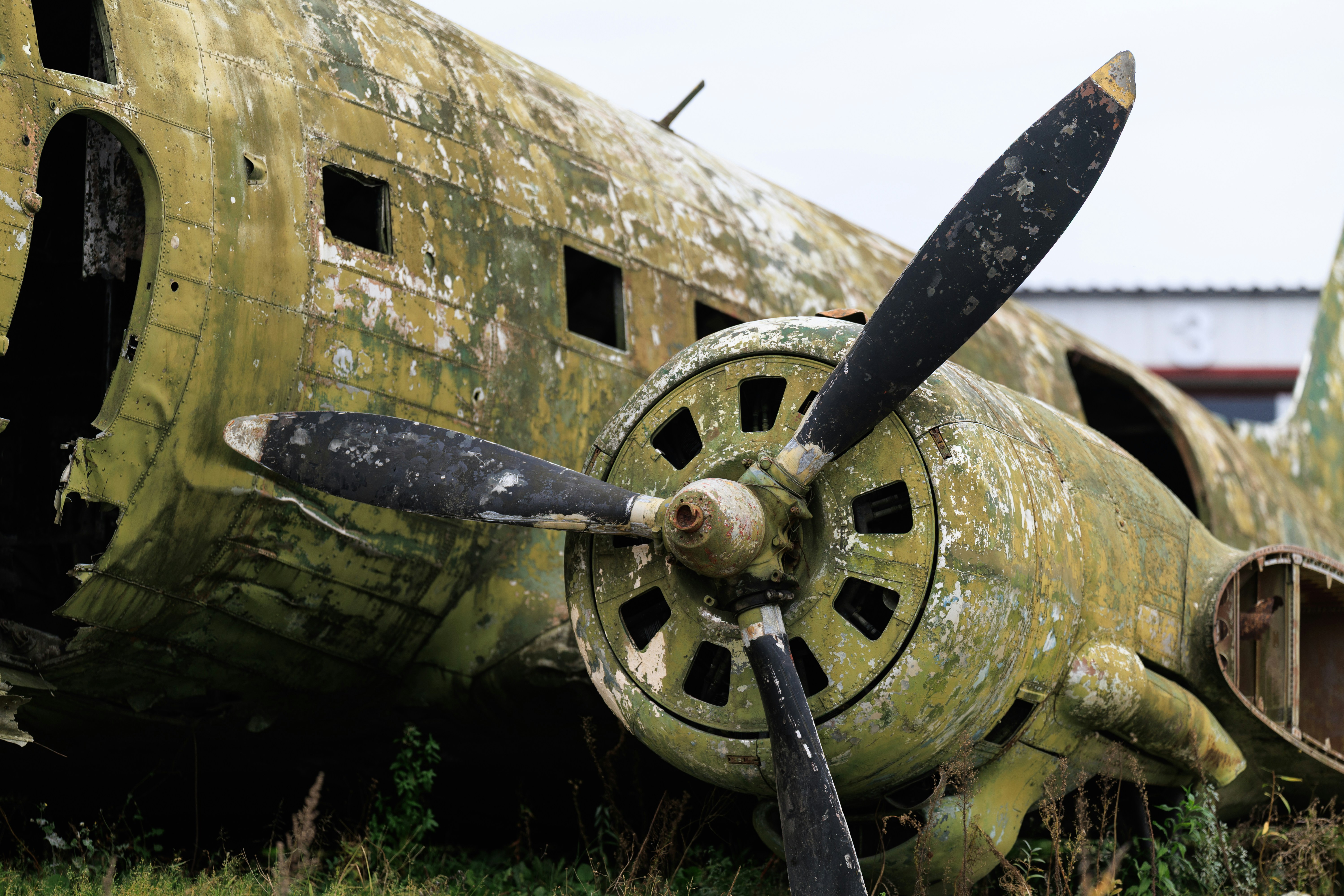 Abandoned green propeller airplane - Free Photo on Unsplash