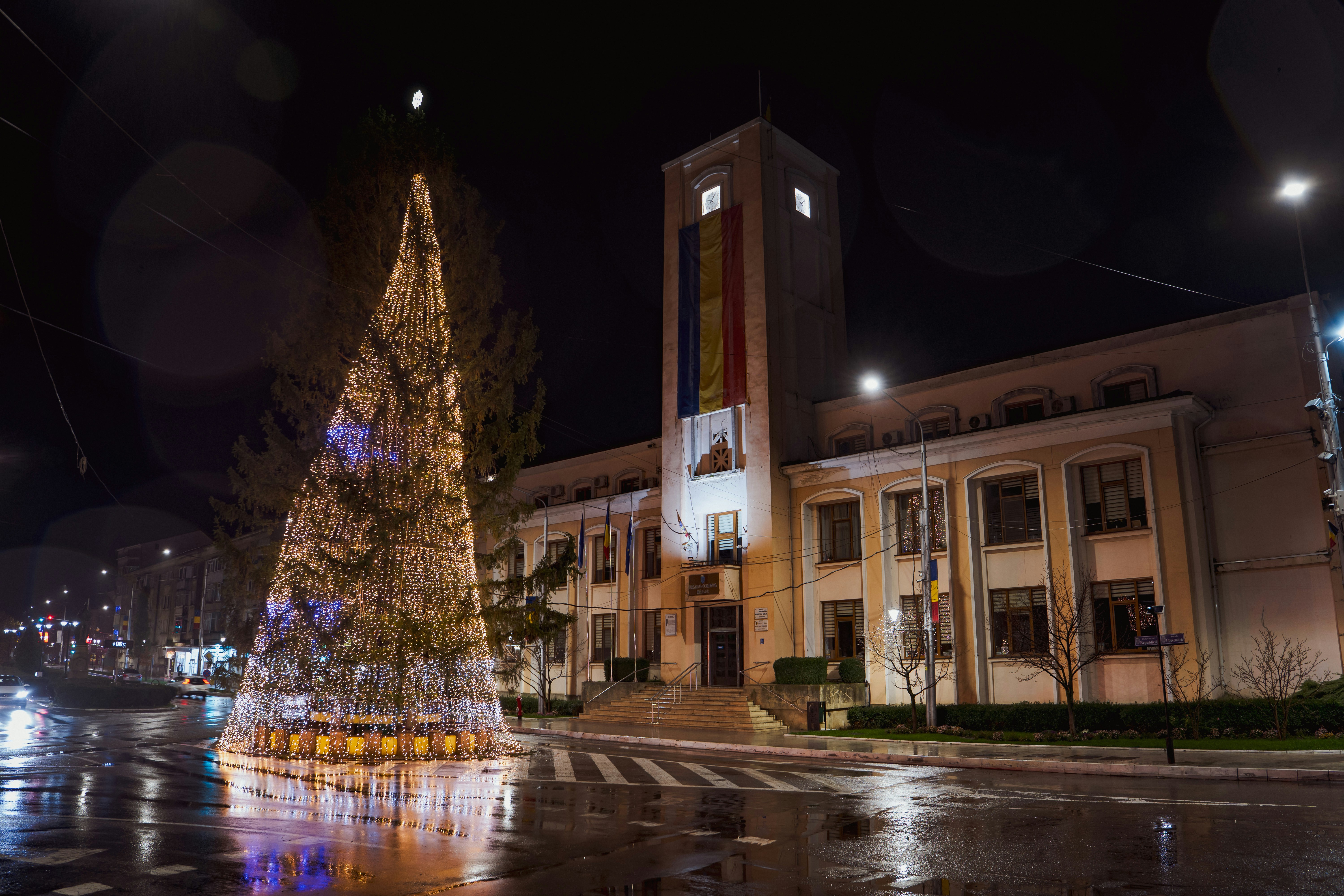 Illuminated christmas tree in front of building - Free Photo on Unsplash