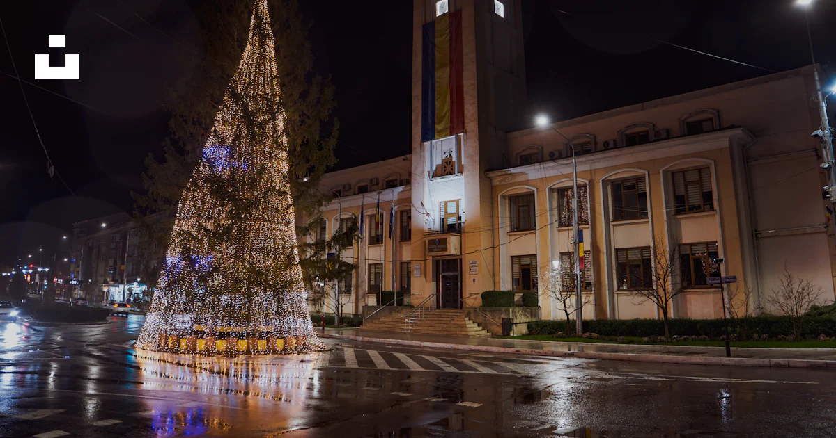 Tree Top Photography Illuminated christmas tree in front of building - Free Photo on Unsplash