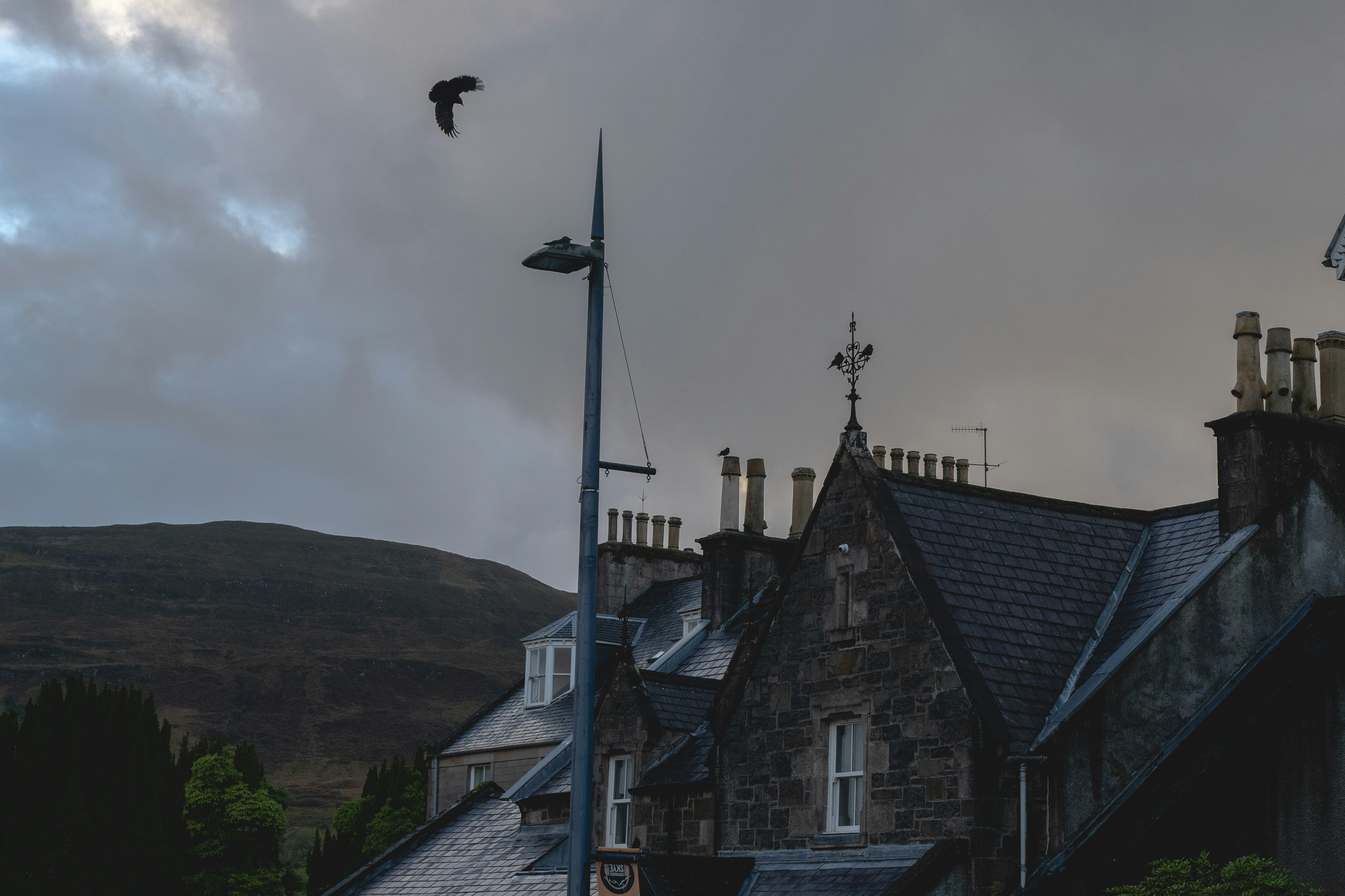 Bird flying over stone building - Free Photo on Unsplash