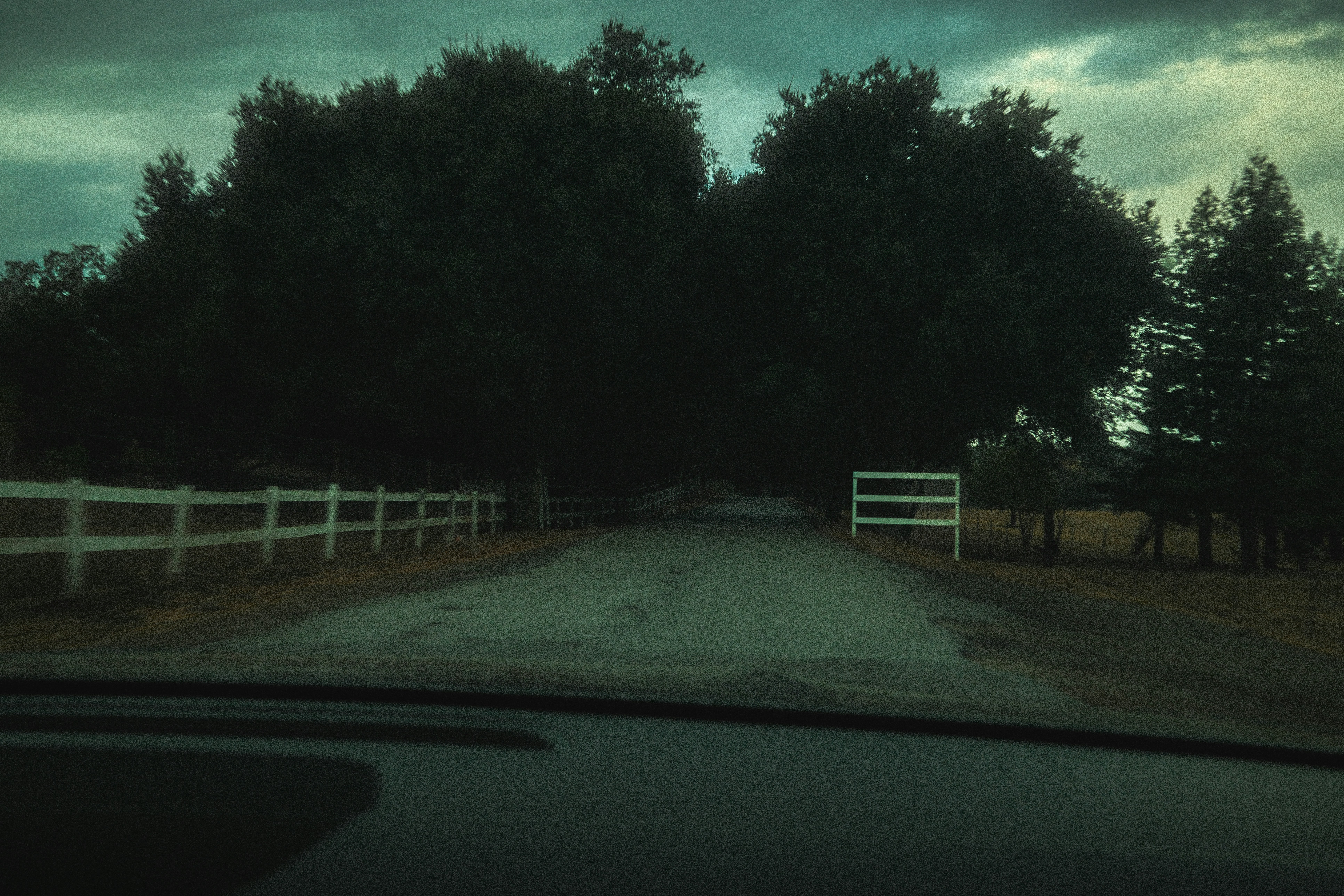 A paved road leading into a dark tunnel of trees under a moody overcast sky