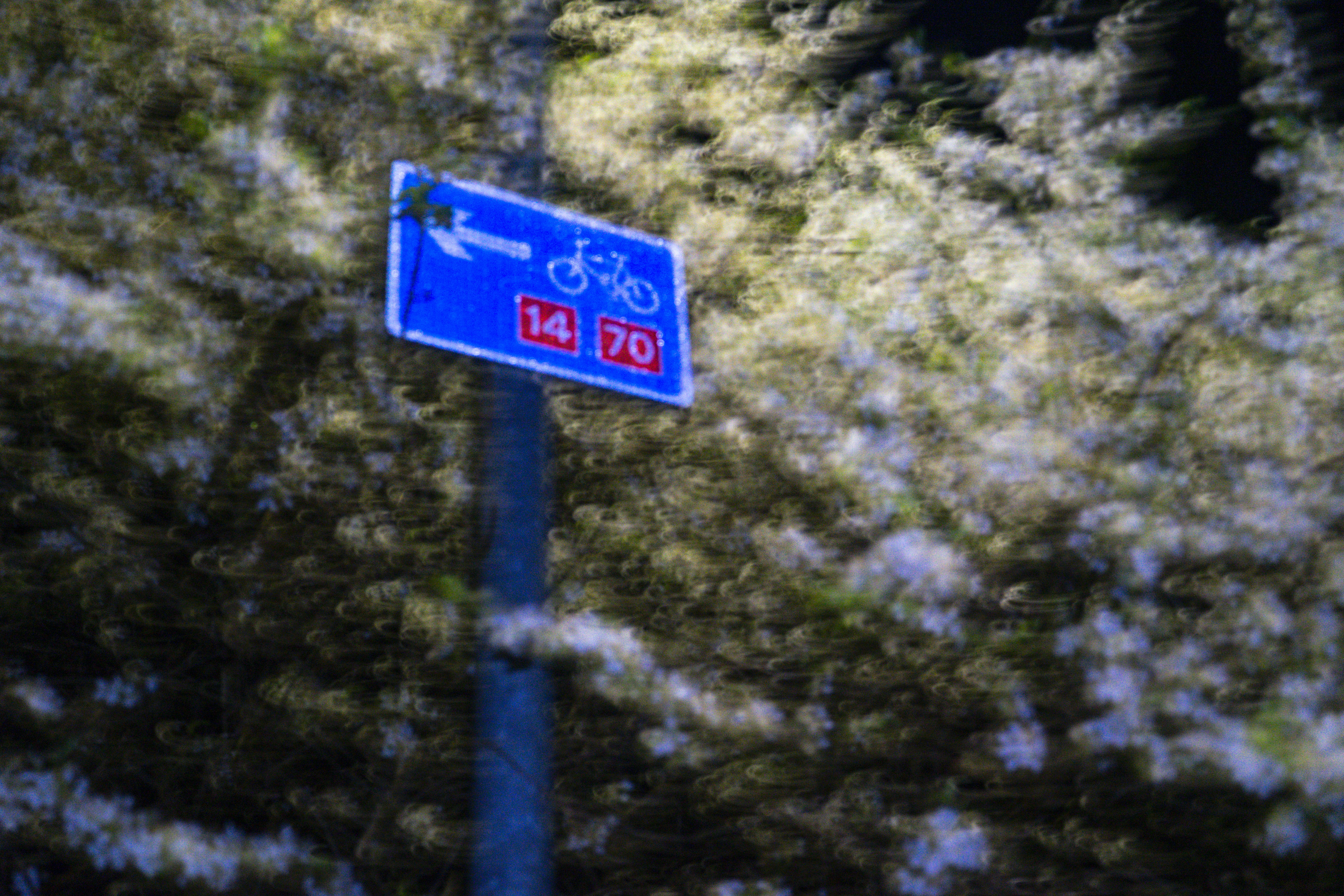 Bicycle route sign with motion blur - Free Photo on Unsplash