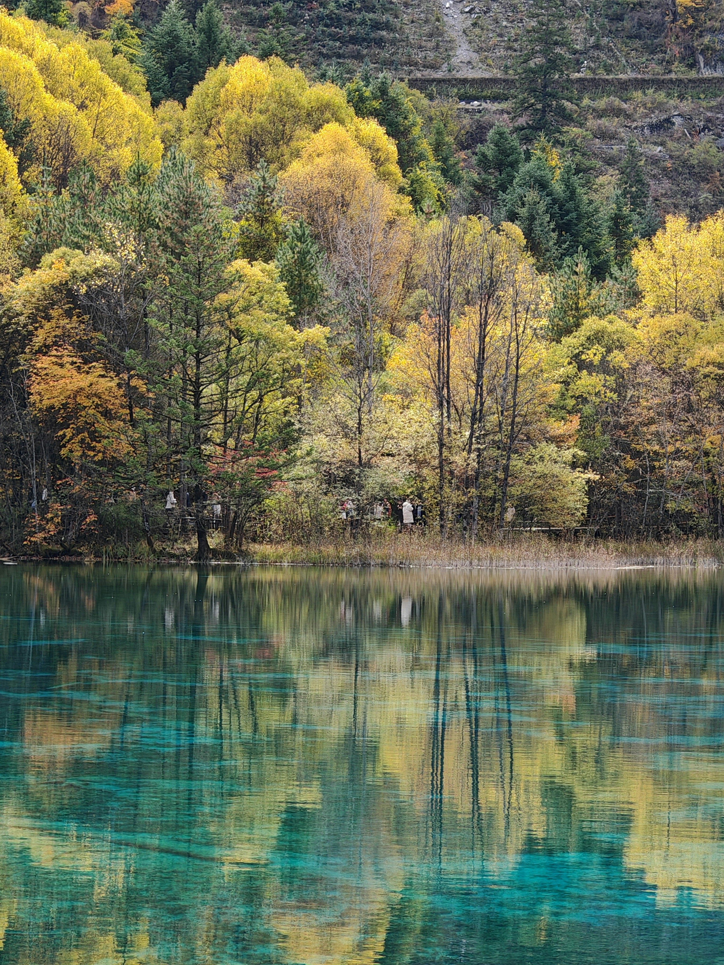 Turquoise lake with autumn forest reflection - Free Photo on Unsplash