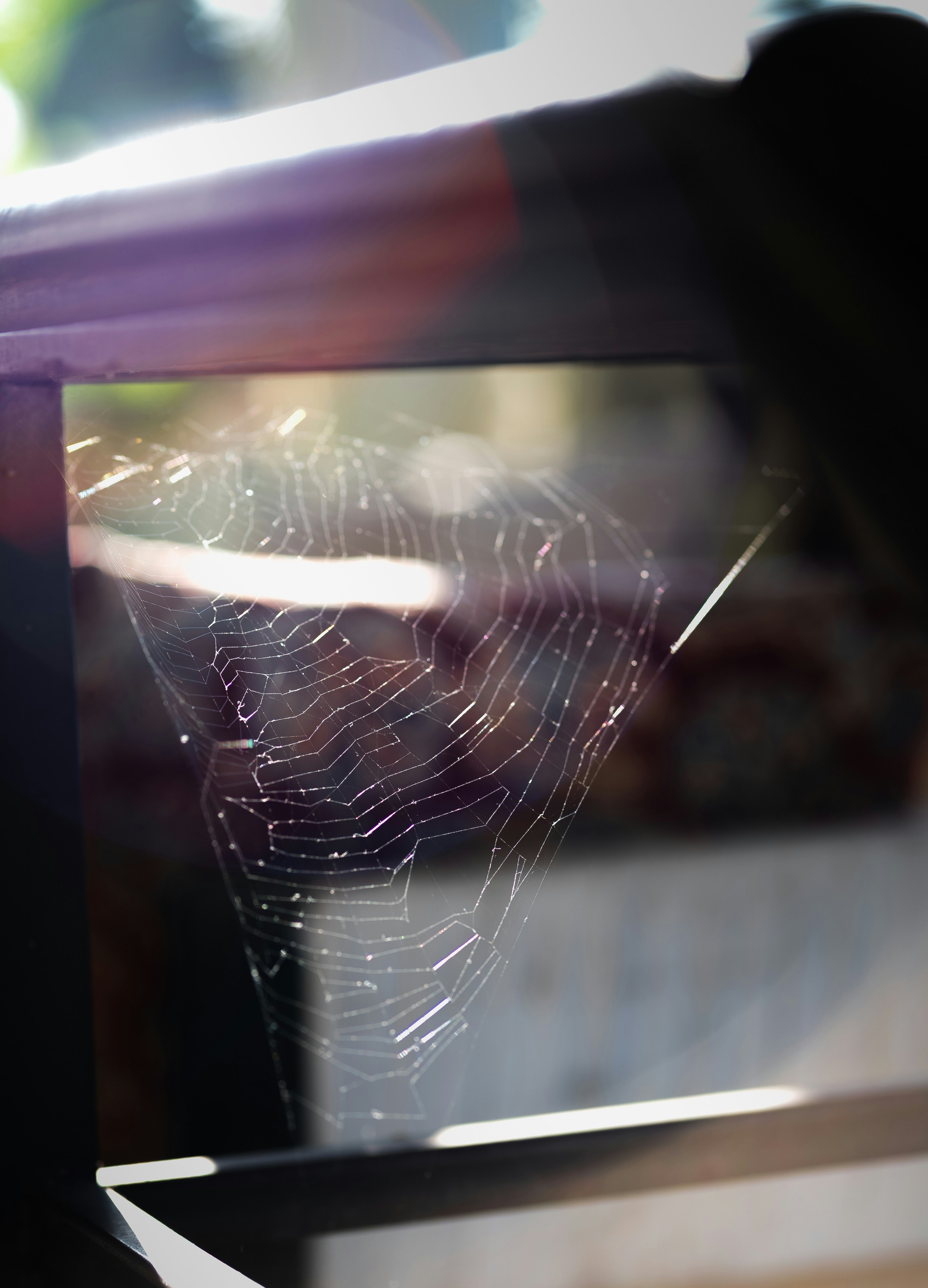 Spider web between dark metal railings - Free Photo on Unsplash
