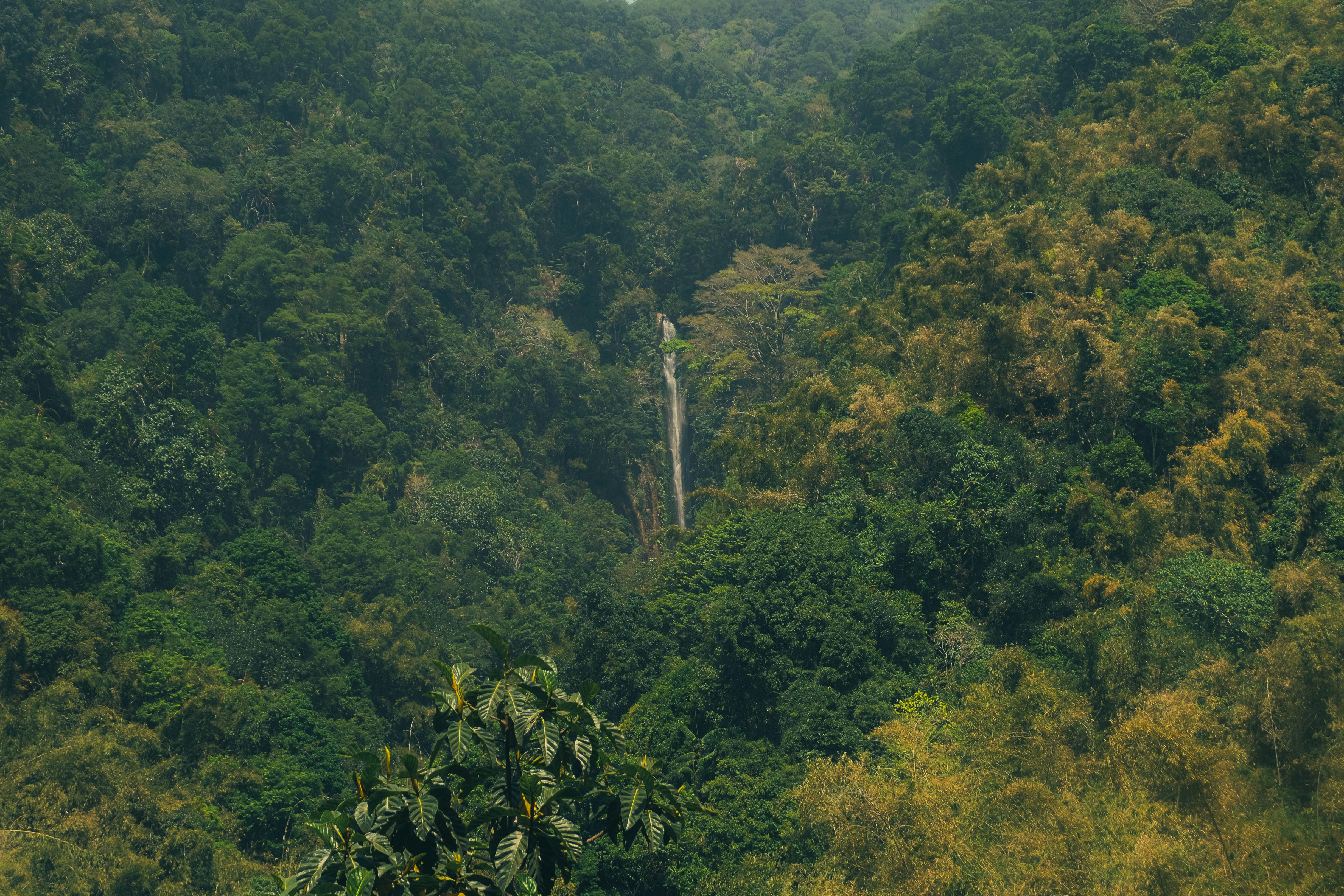Waterfall cascading down lush green mountainside - Free Photo on Unsplash