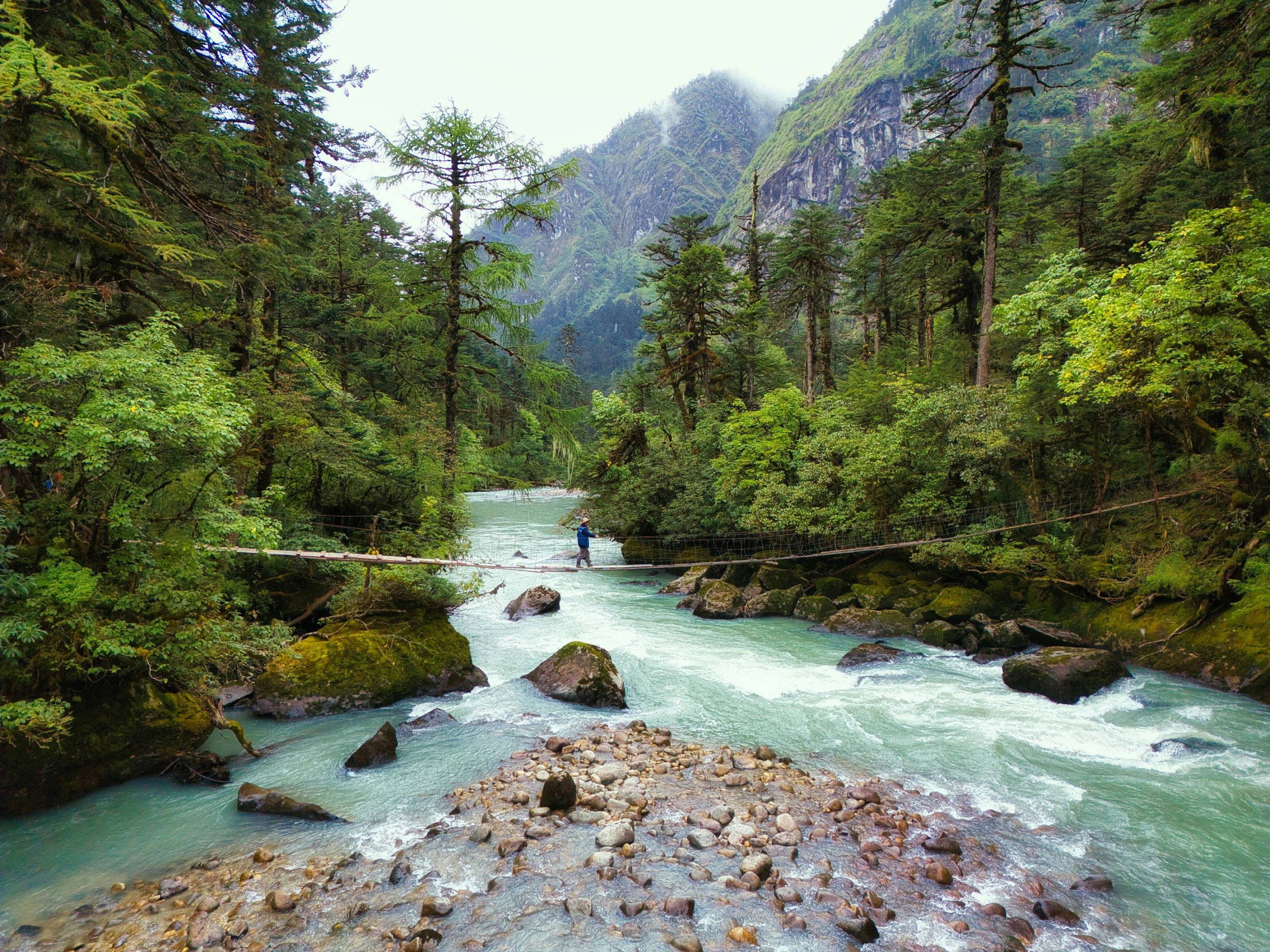 Person crossing suspension bridge over river - Free Photo on Unsplash