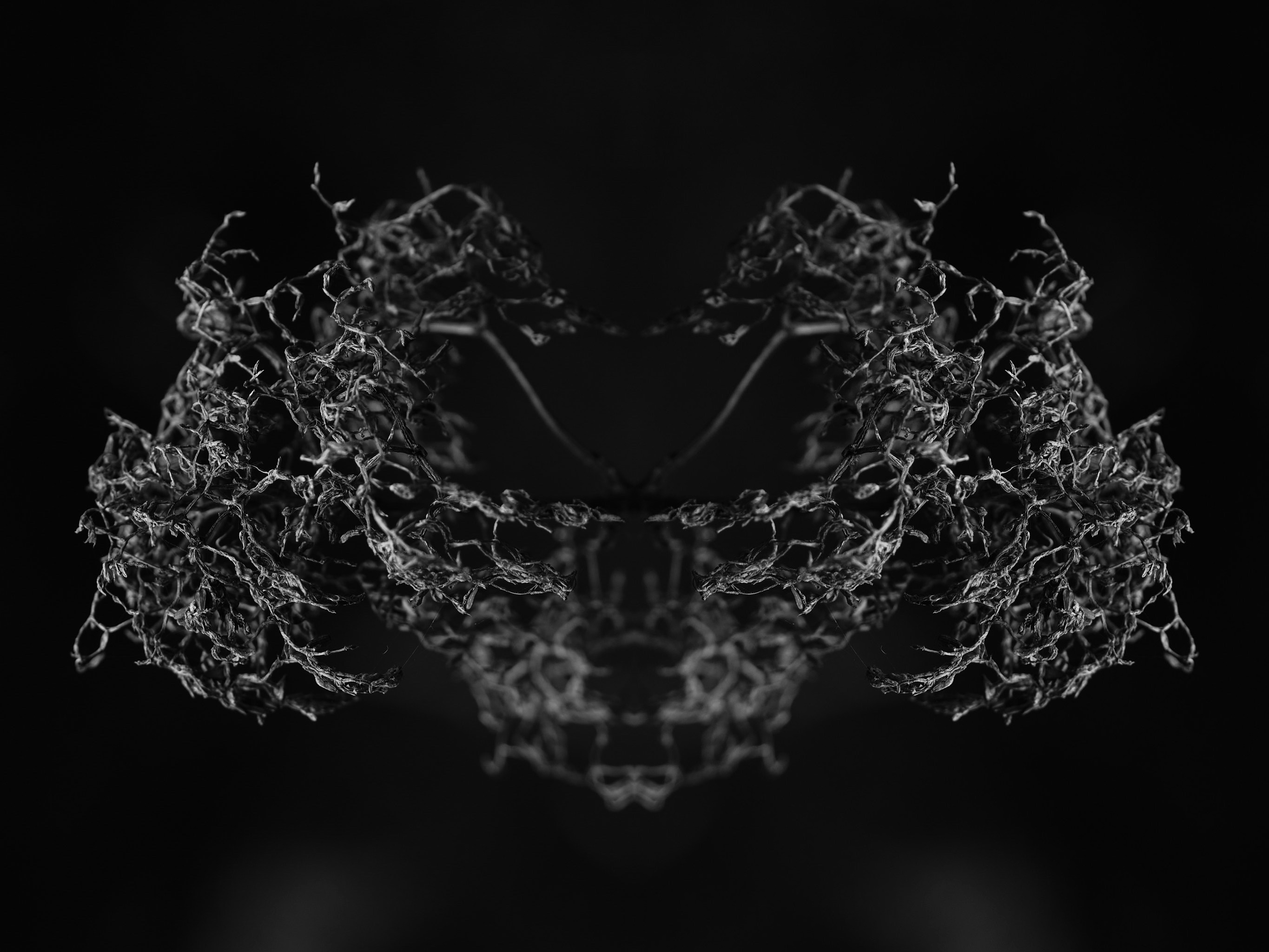 Black and white, abstract, macro,Schwarz weiß, abstrakt, macro,