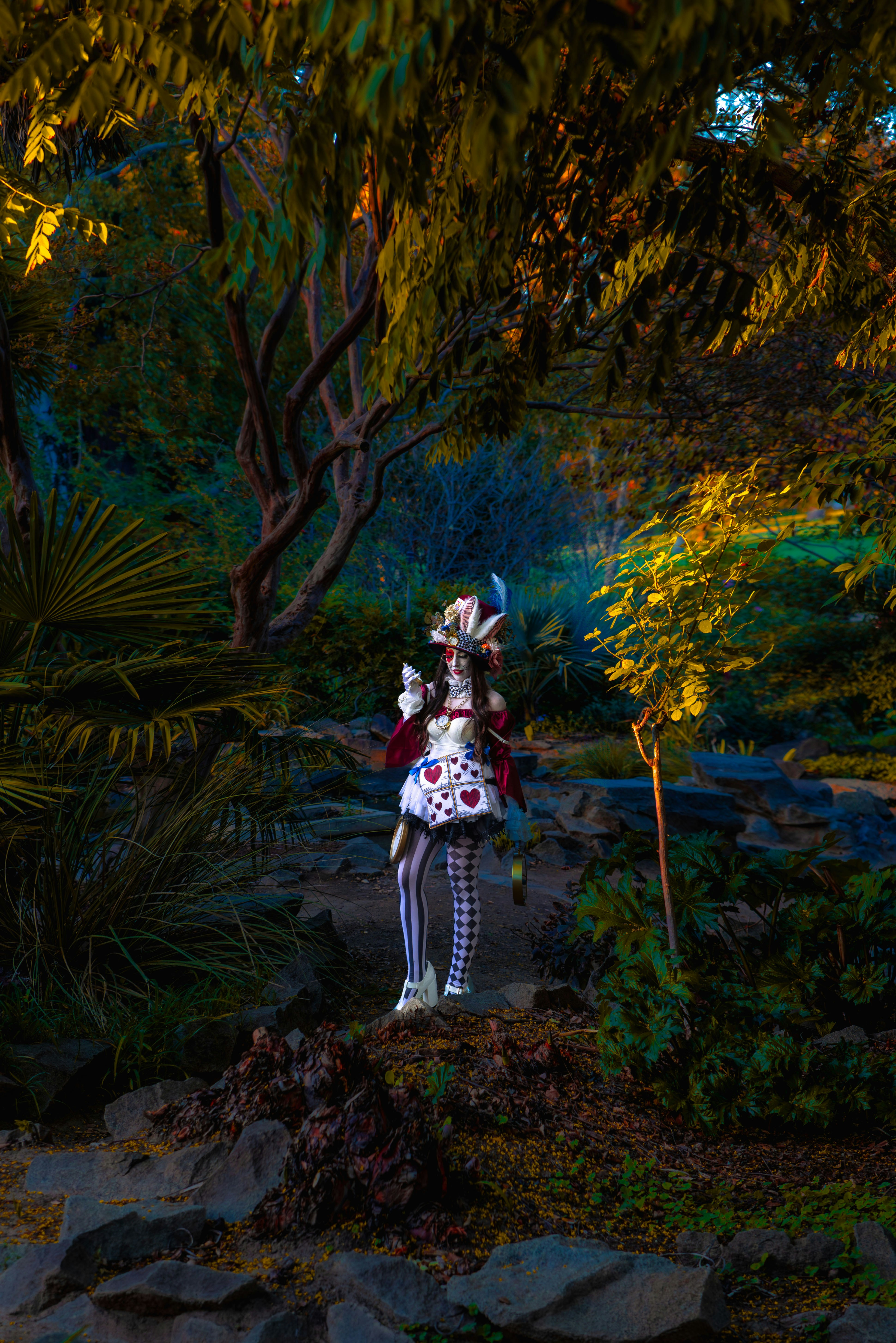 Person in playing card costume - Free Photo on Unsplash