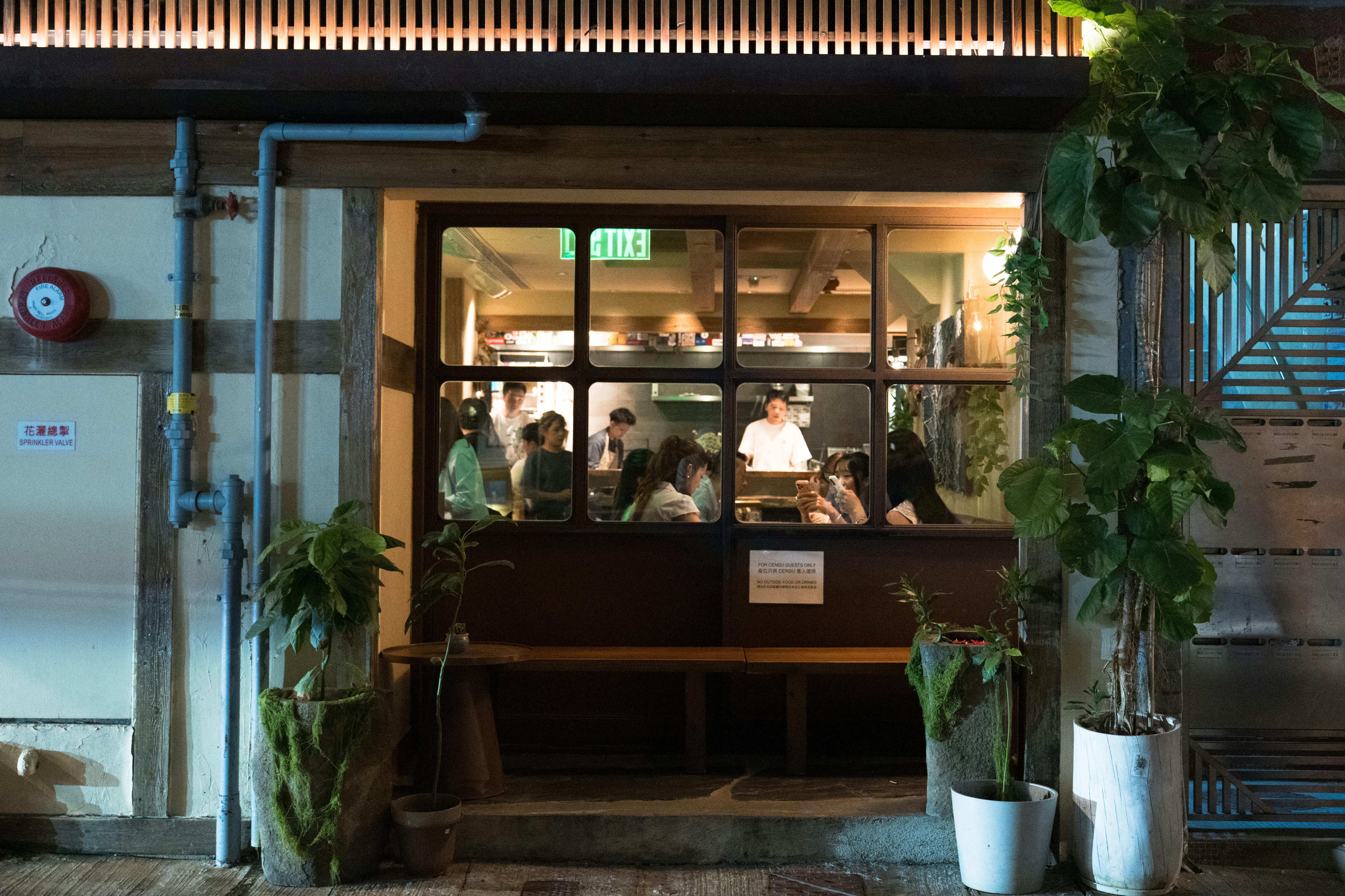 People inside a restaurant viewed through a large window at night with potted plants outside