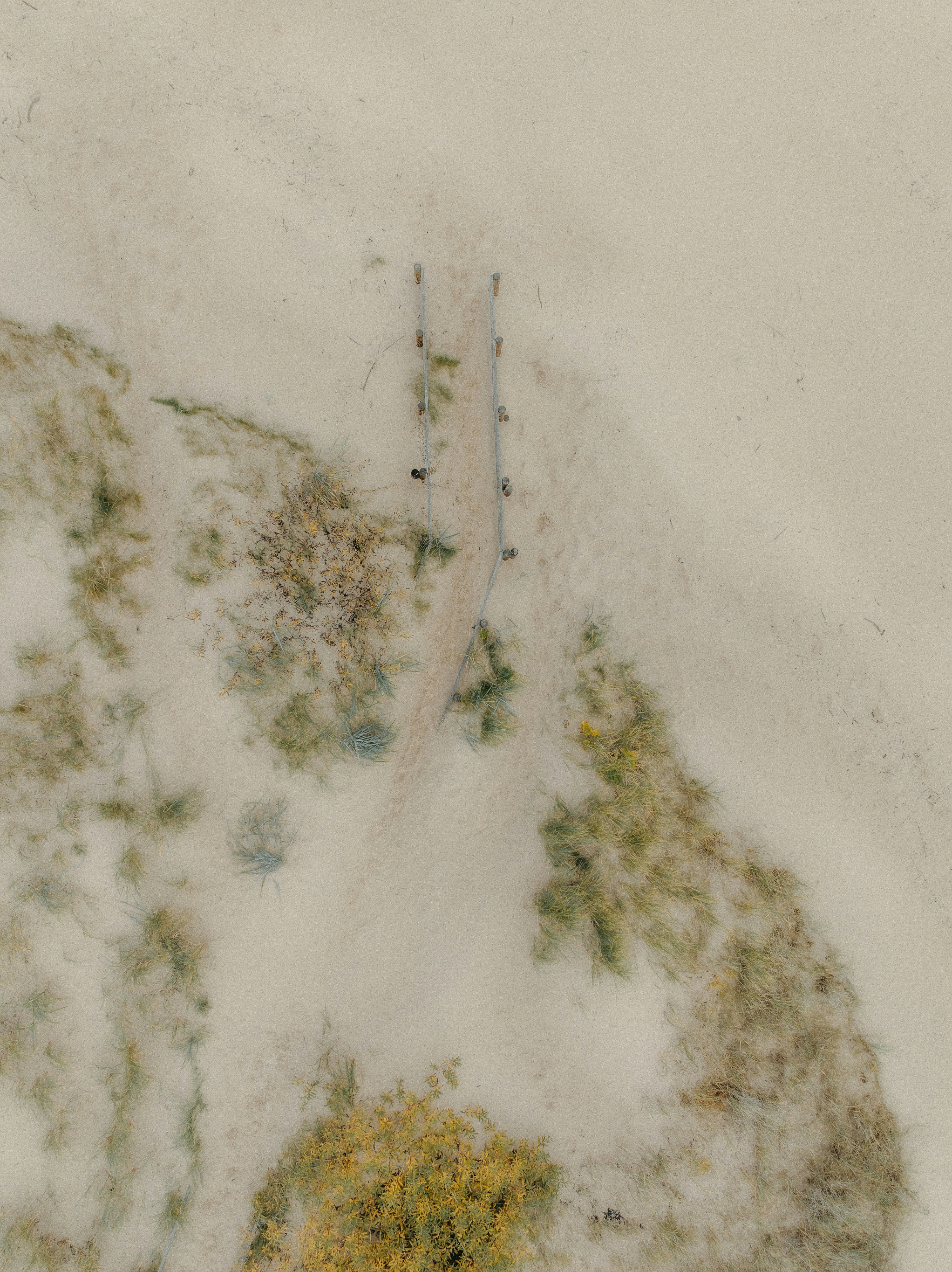 An aerial view of a sandy path lined with wooden posts through beach grass - 相关推荐